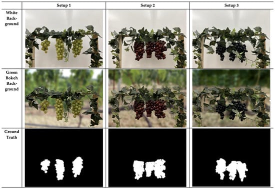 Jimaging 11 00034 g003