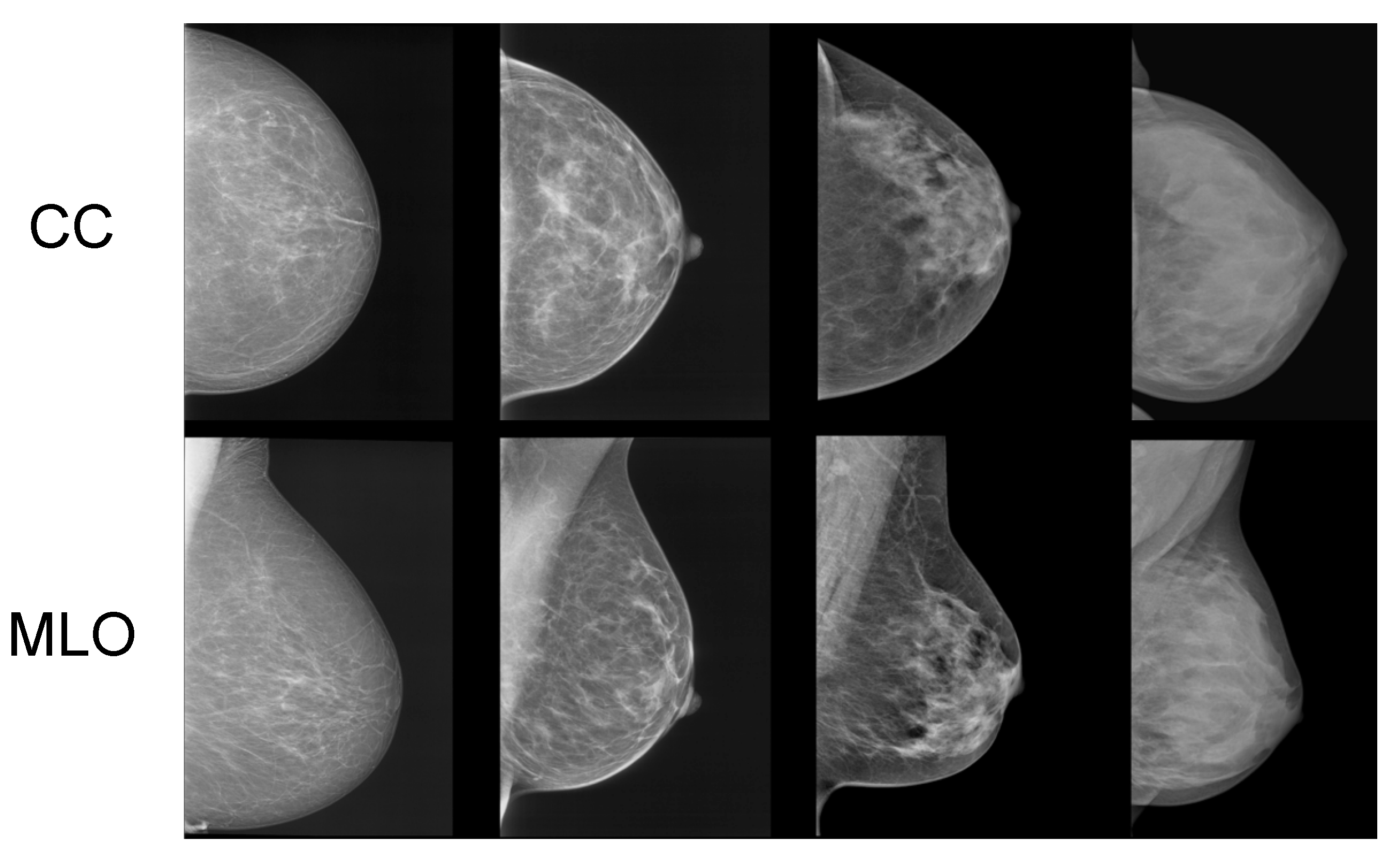 Jimaging 11 00038 g001