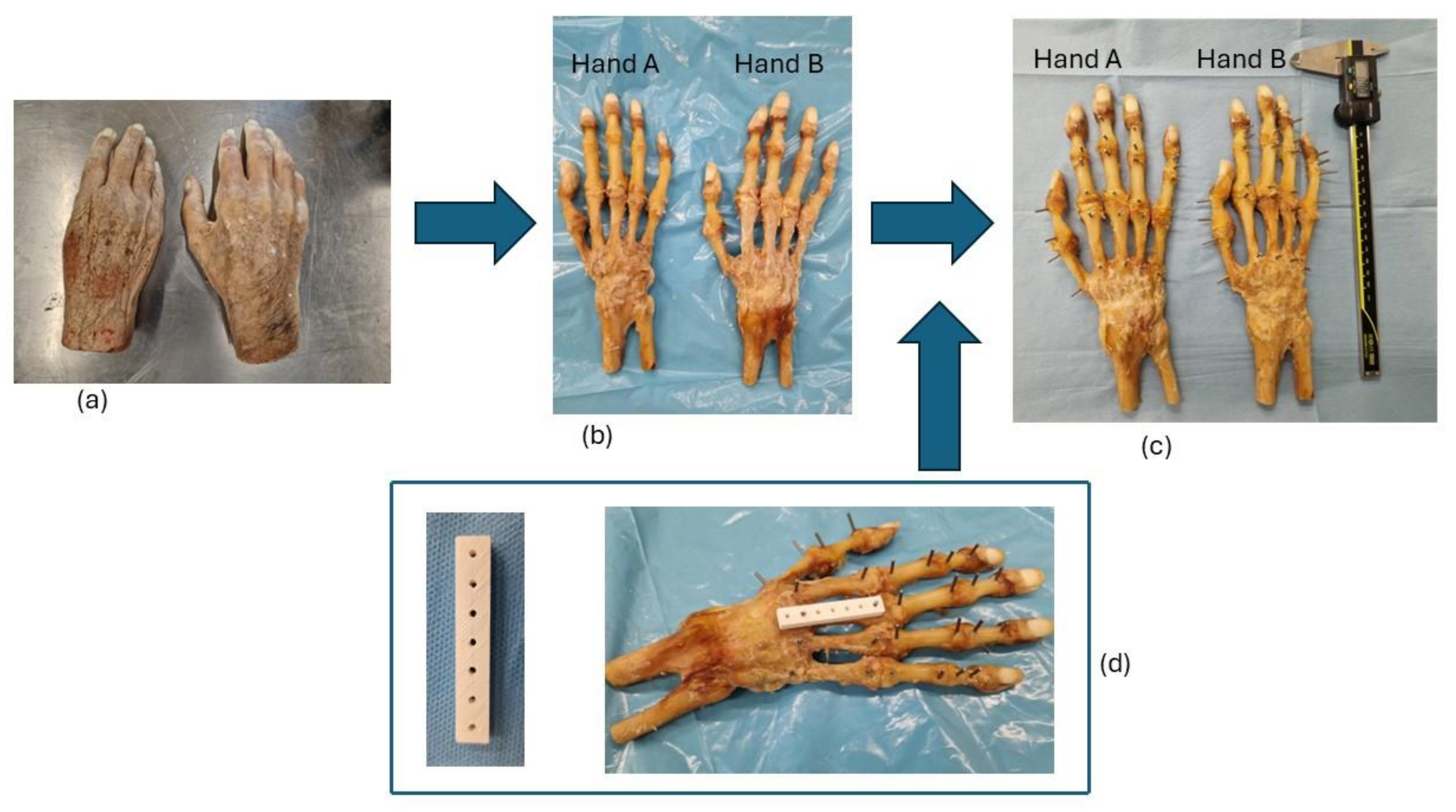 Jimaging 11 00039 g001