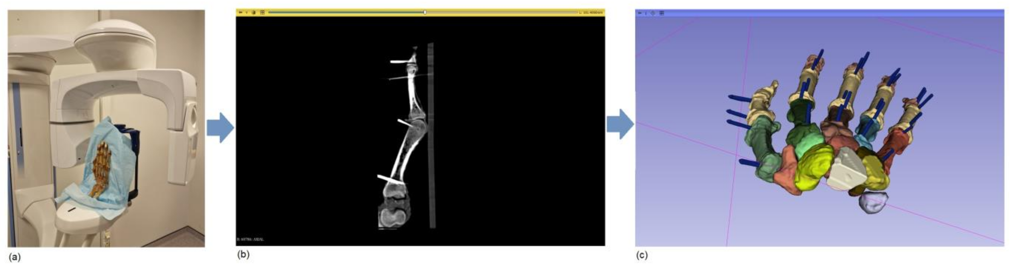 Jimaging 11 00039 g002