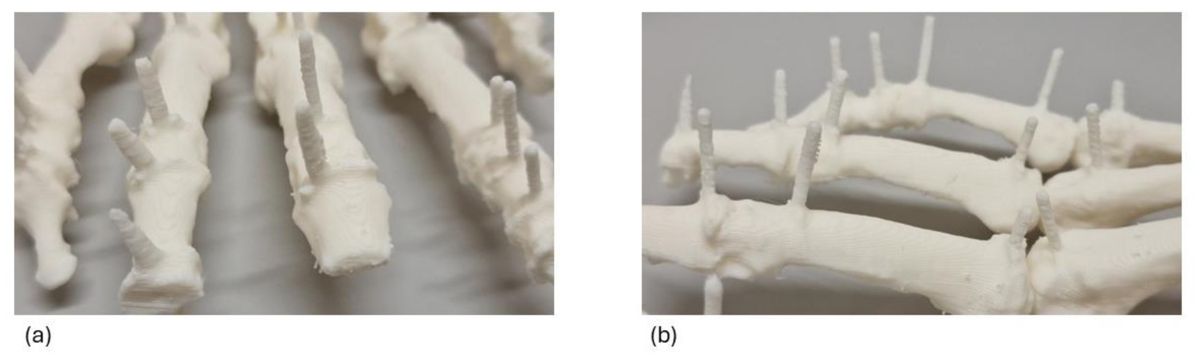 Jimaging 11 00039 g005