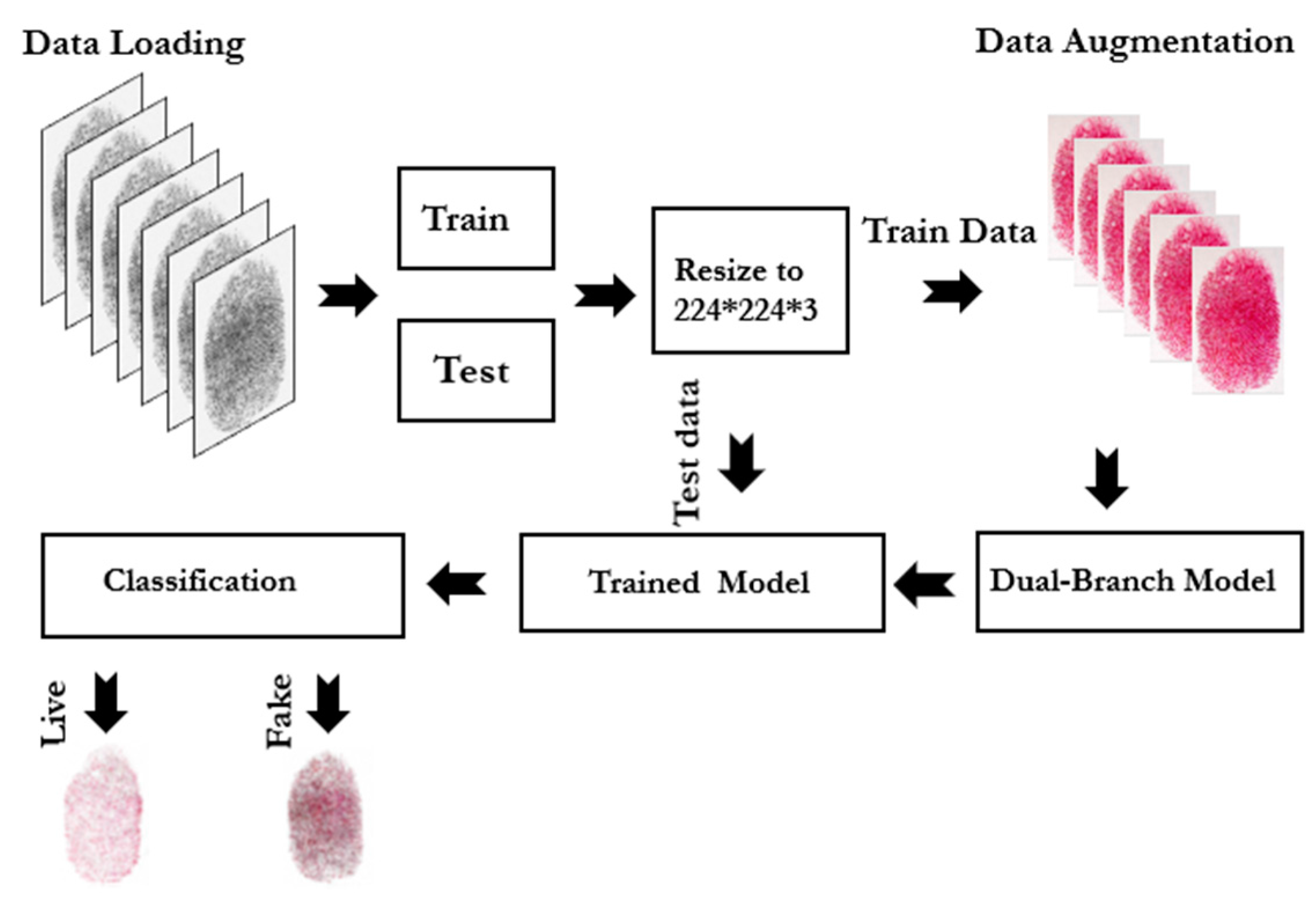 Jimaging 11 00042 g001