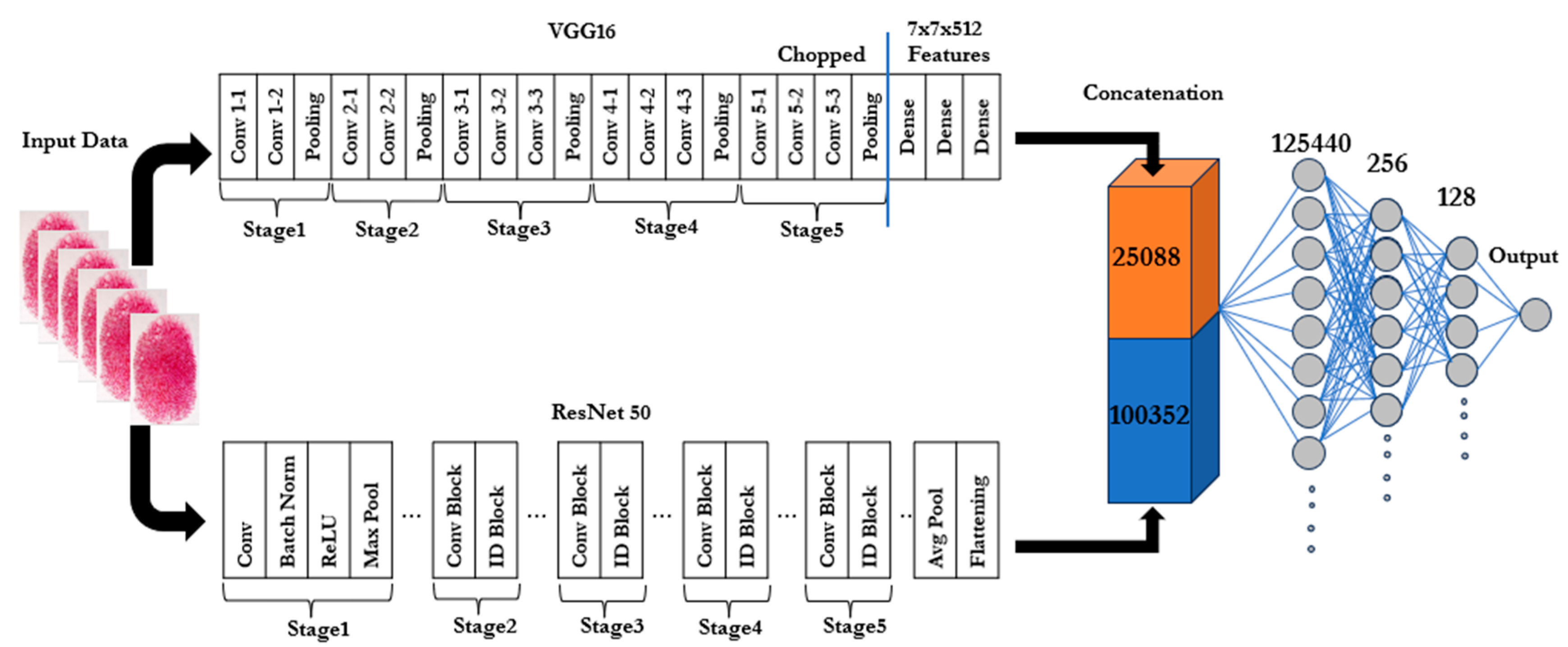 Jimaging 11 00042 g002