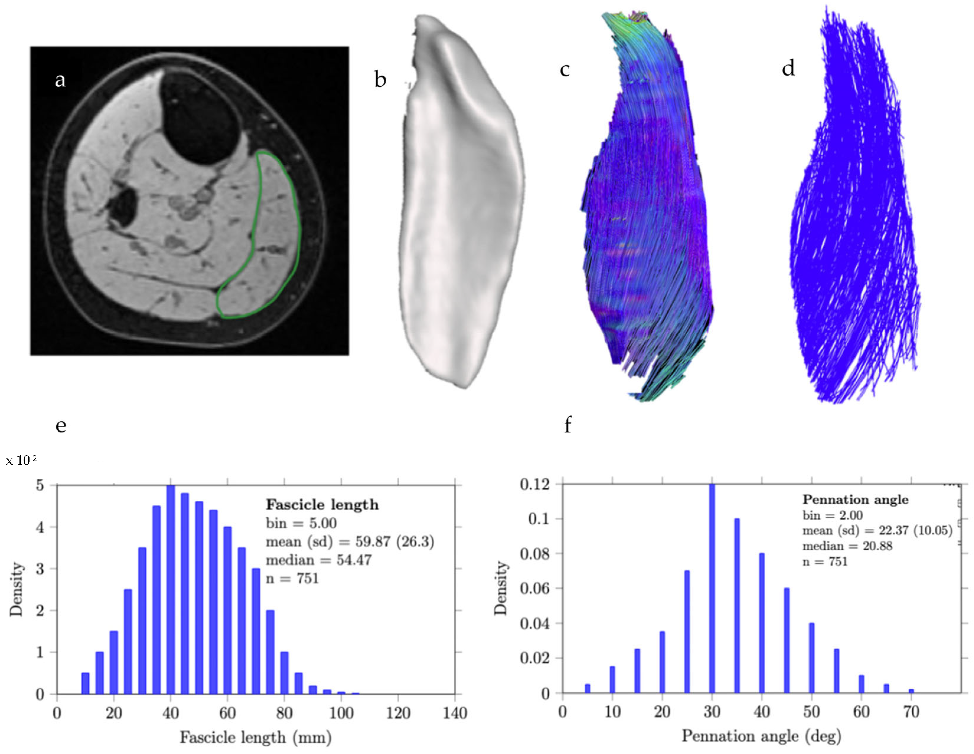 Jimaging 11 00043 g009