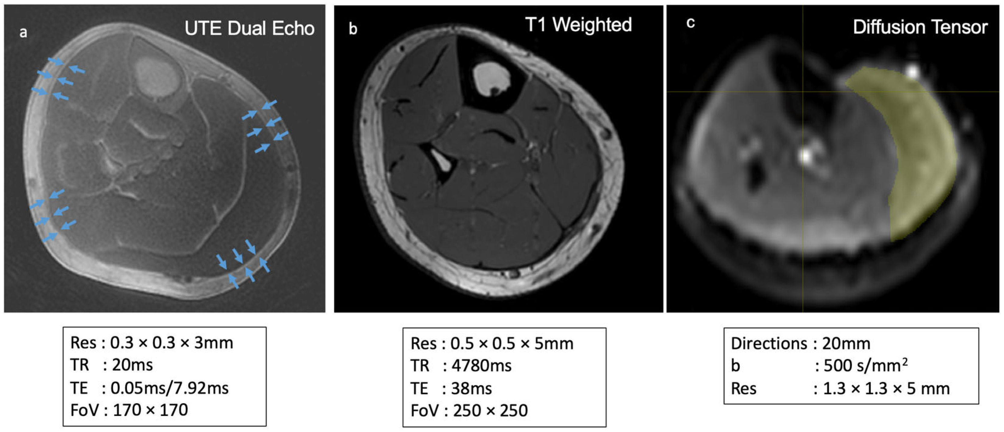 Jimaging 11 00043 g010