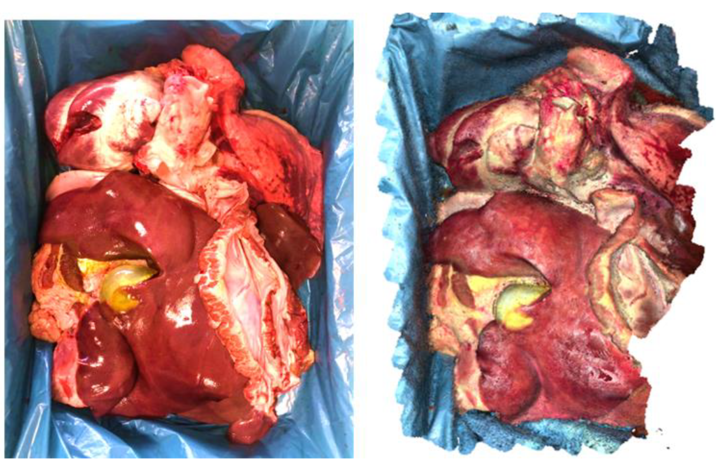 Jimaging 11 00044 g004