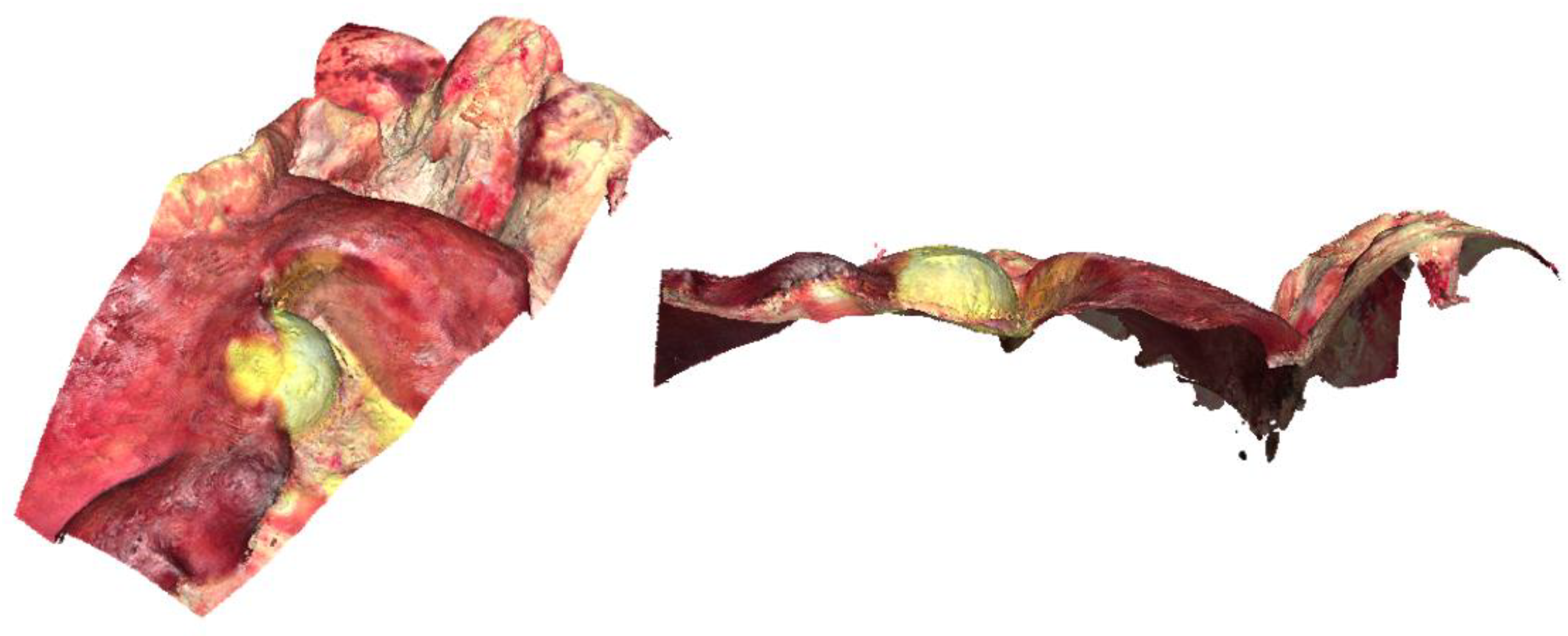 Jimaging 11 00044 g005