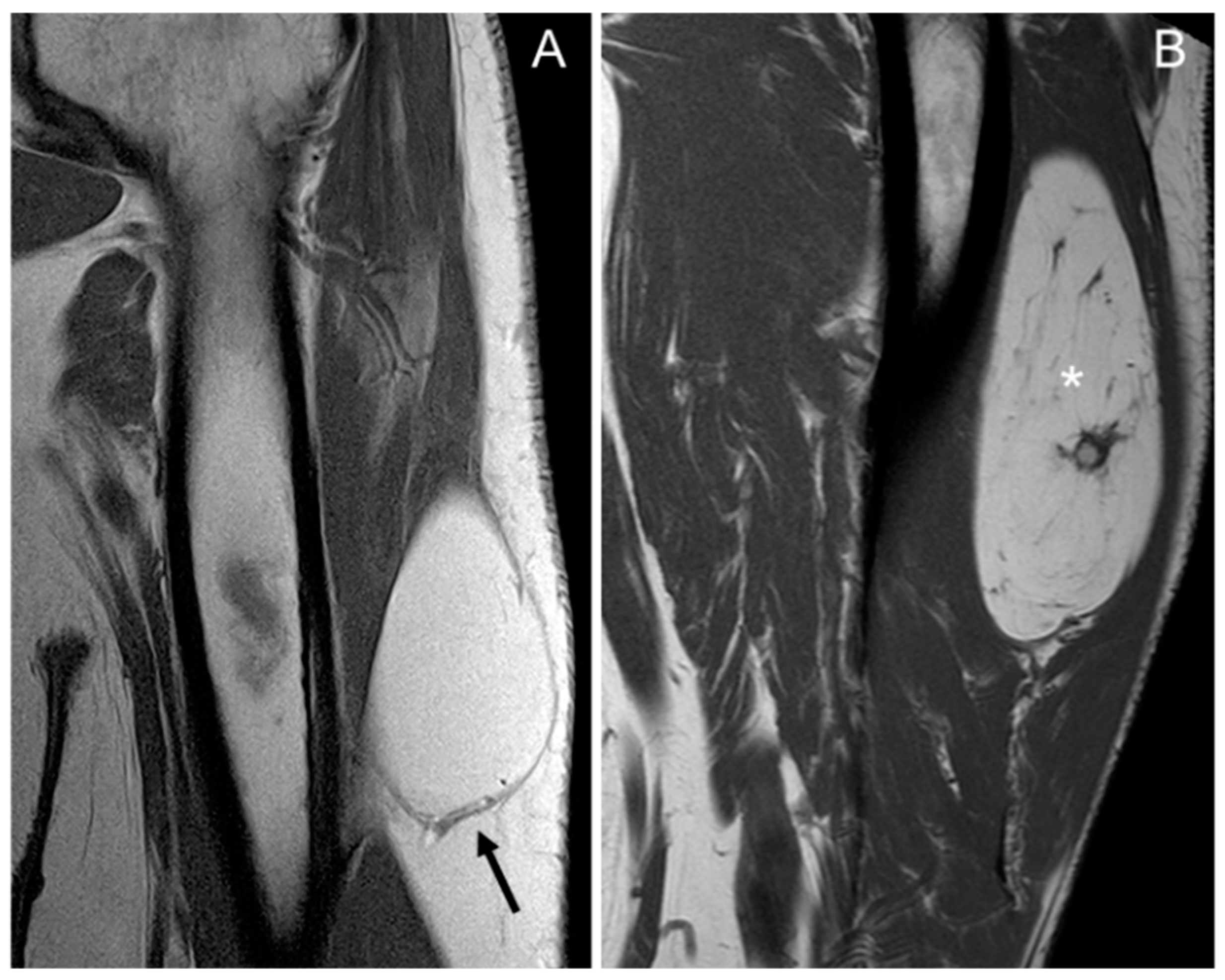 Jimaging 11 00047 g001