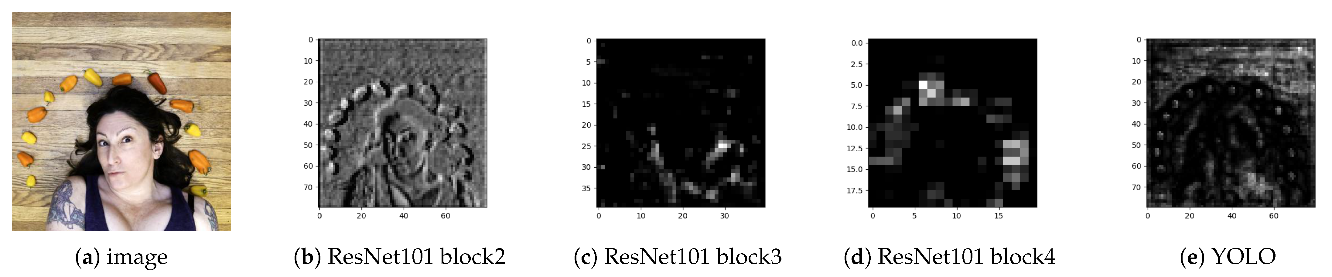 Jimaging 11 00052 g002