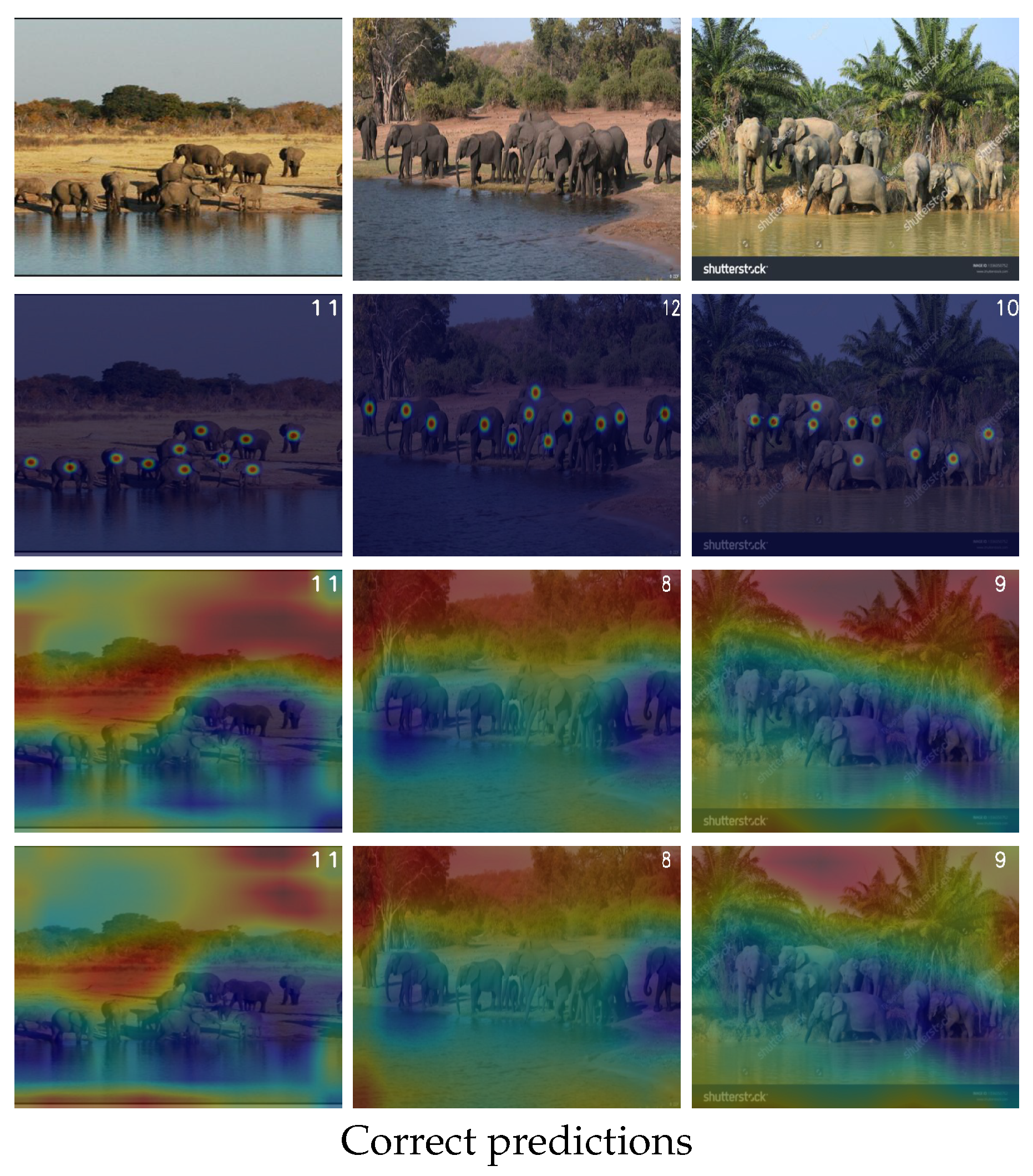 Jimaging 11 00052 g008