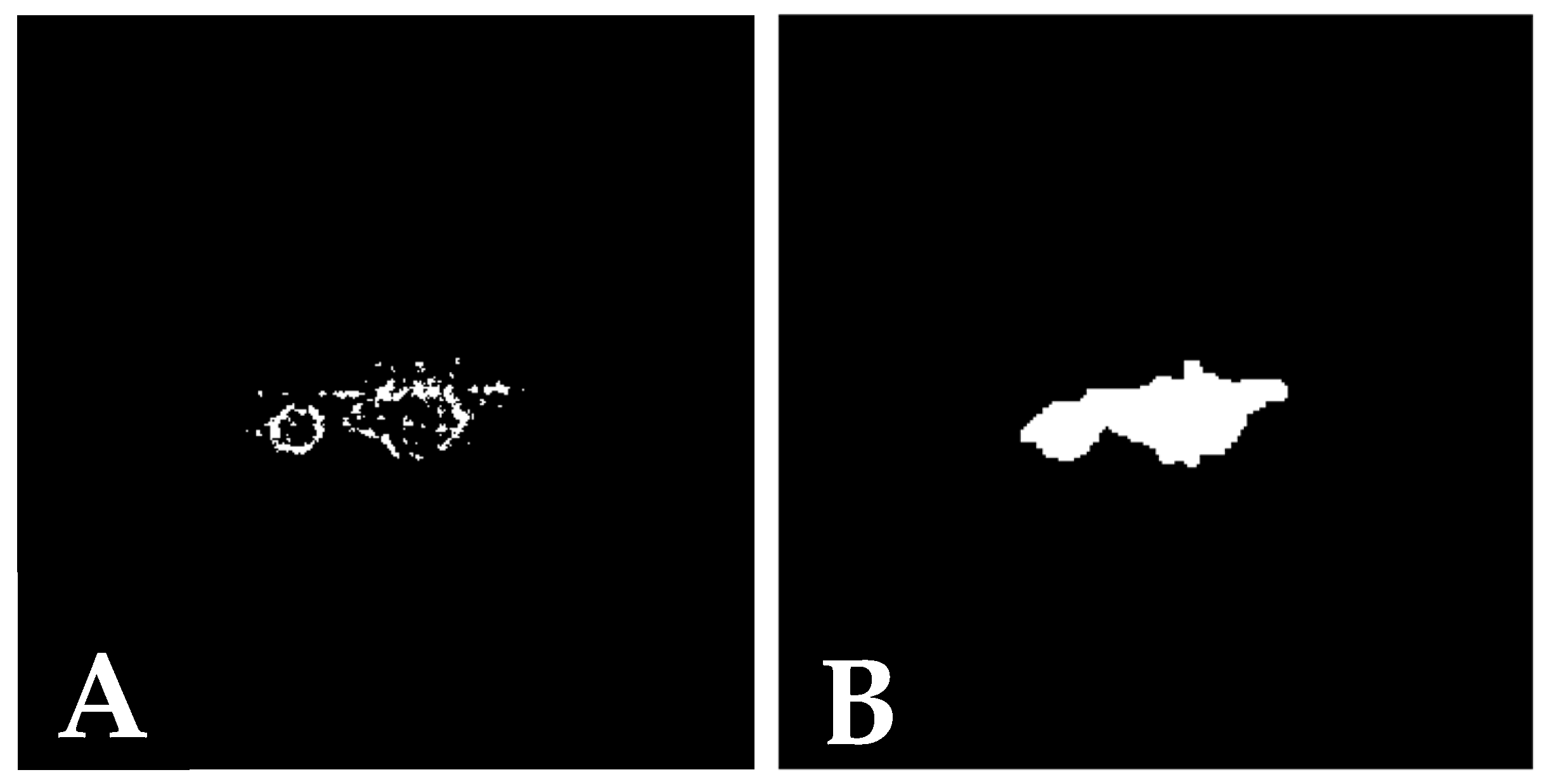 Jimaging 11 00055 g002