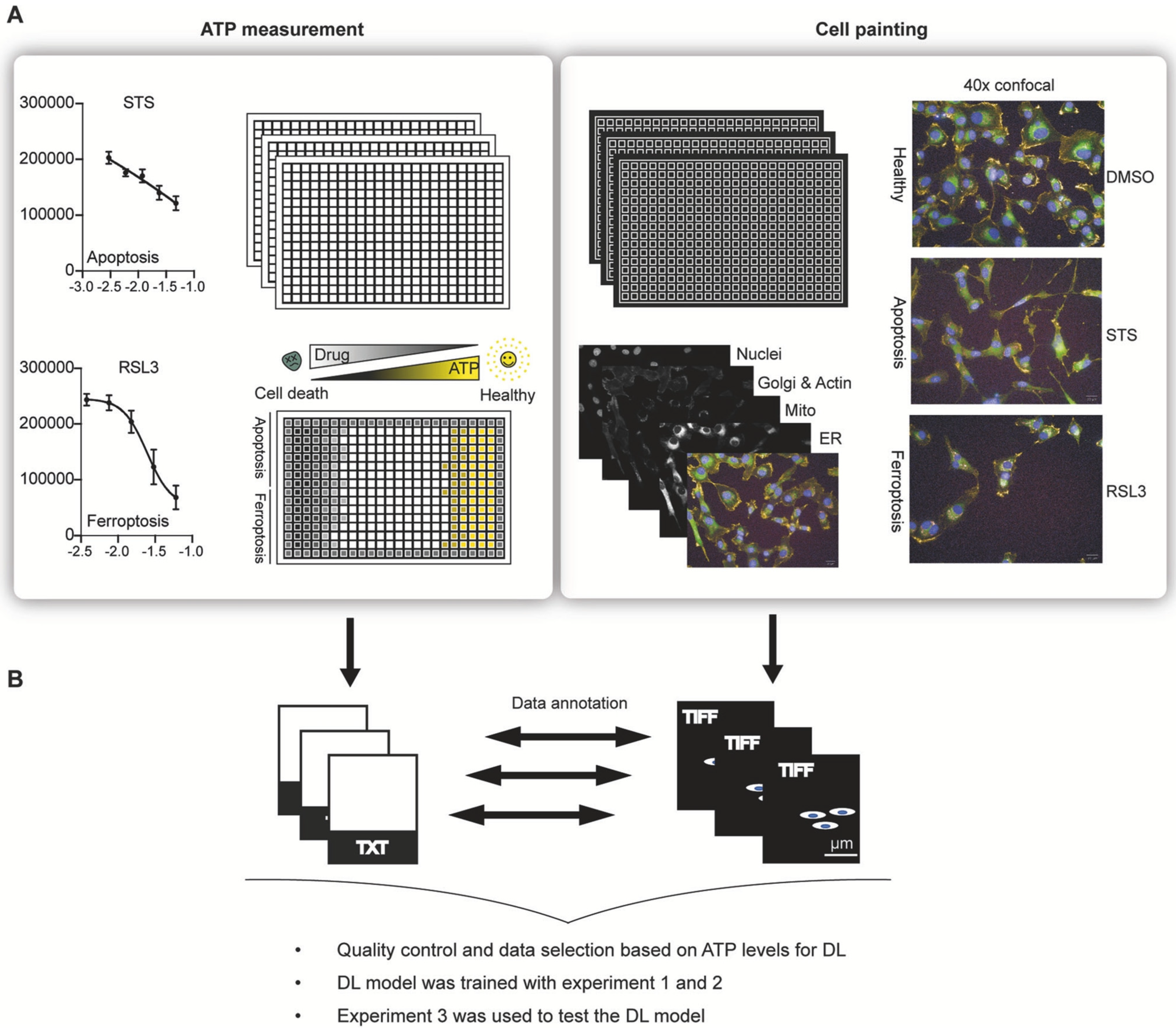 Jimaging 11 00059 g007