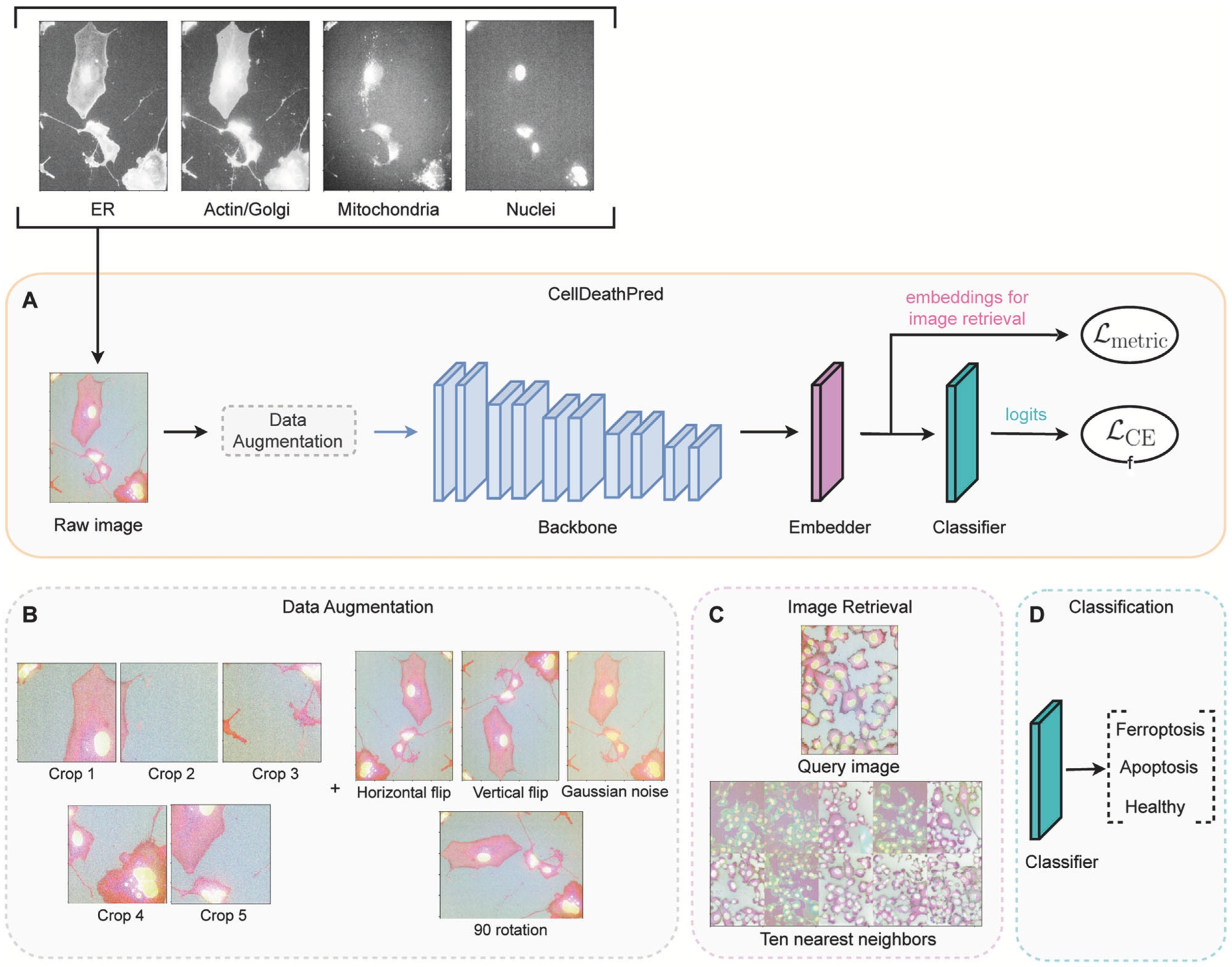 Jimaging 11 00059 g008