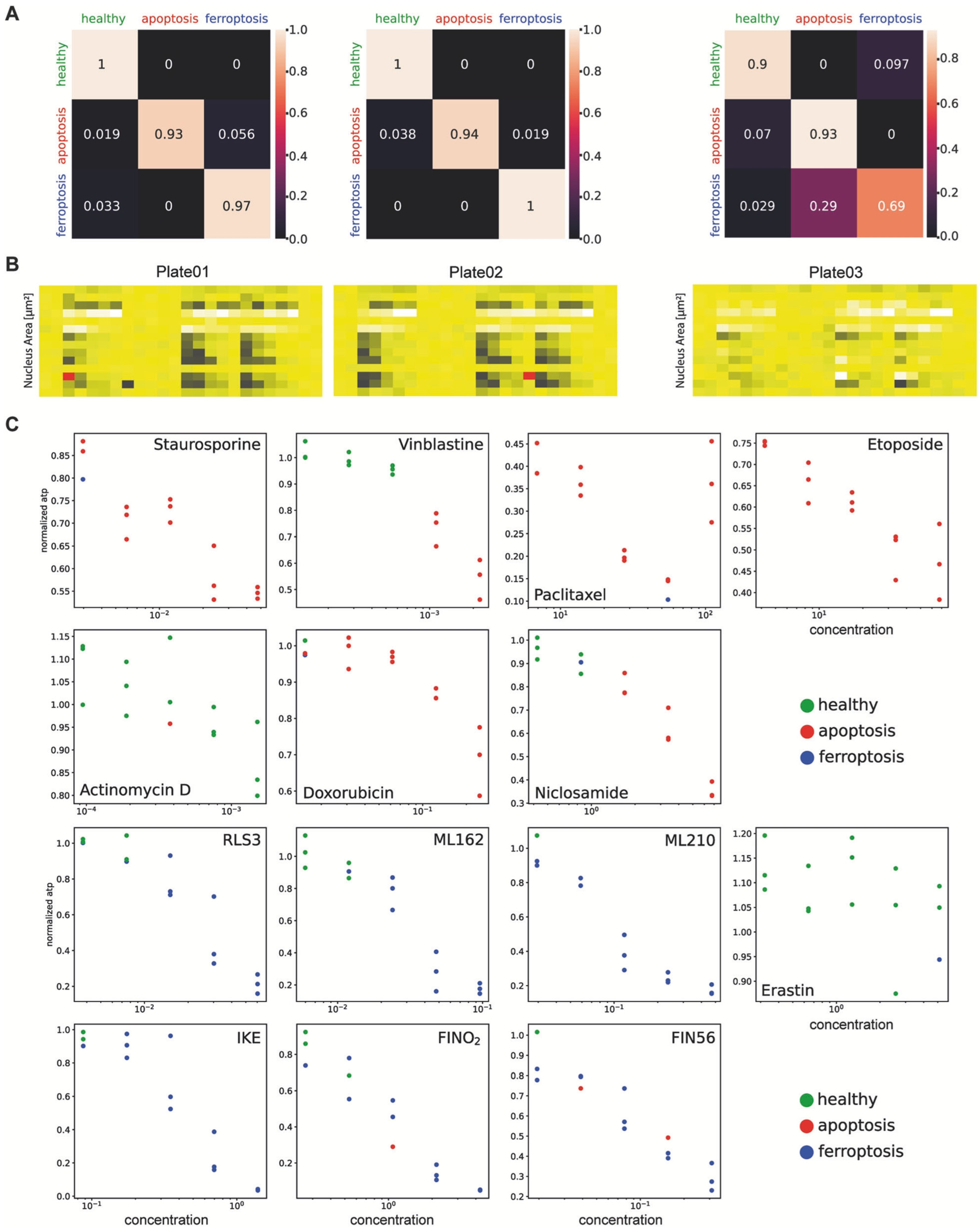 Jimaging 11 00059 g009