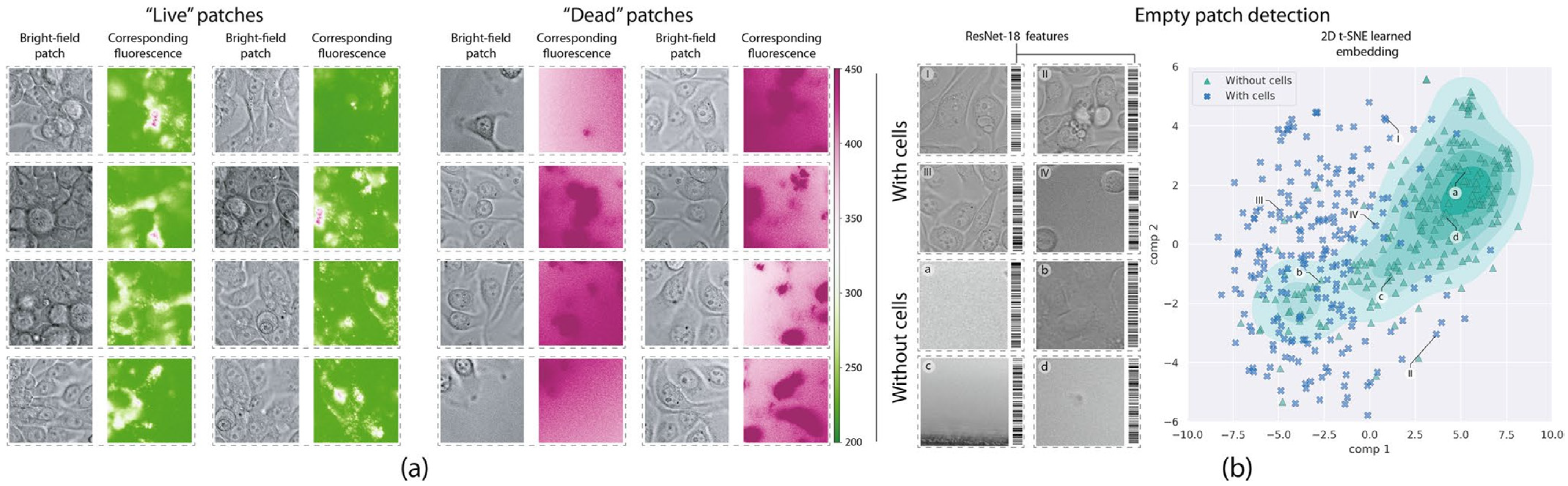 Jimaging 11 00059 g011