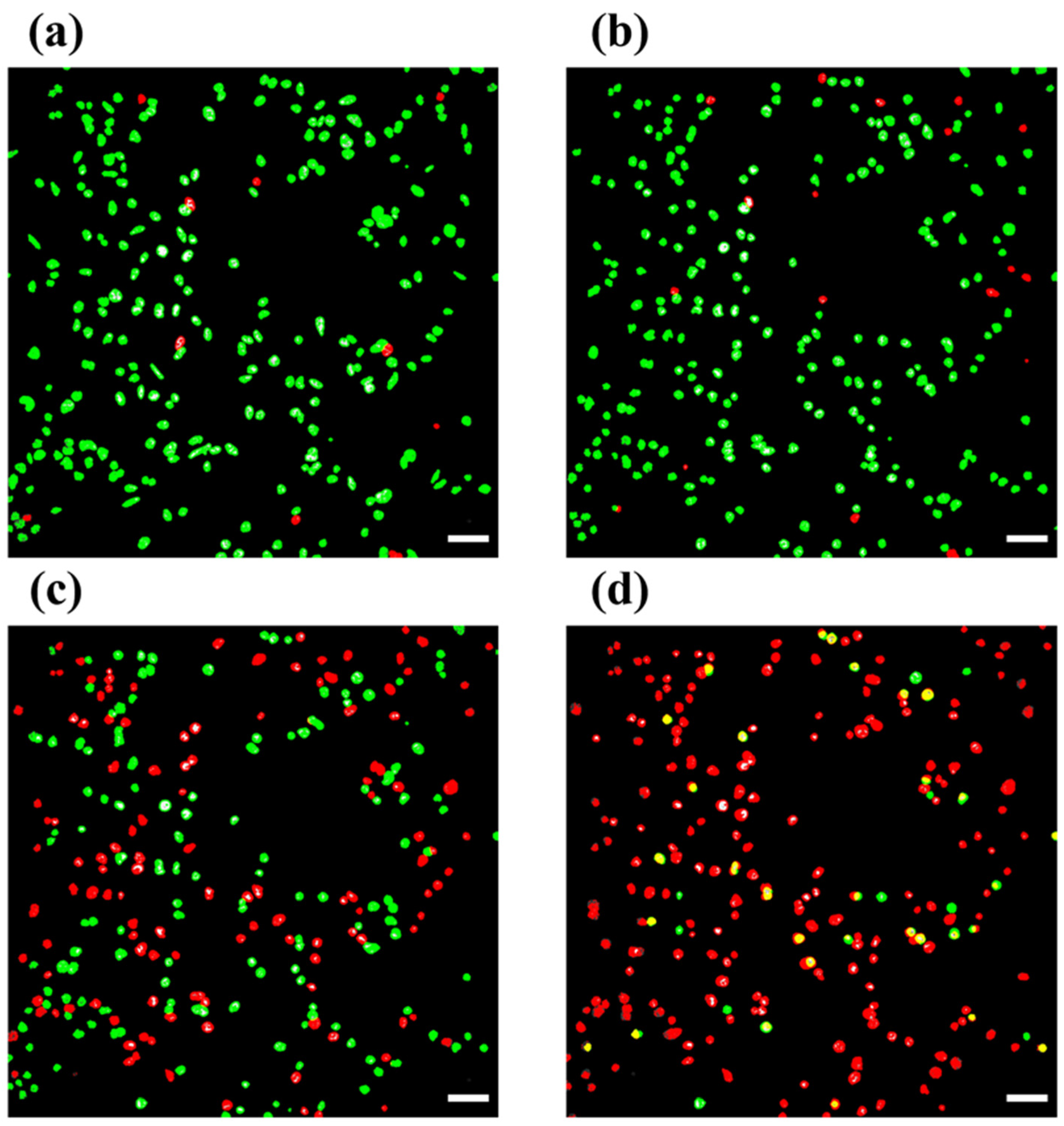 Jimaging 11 00059 g015