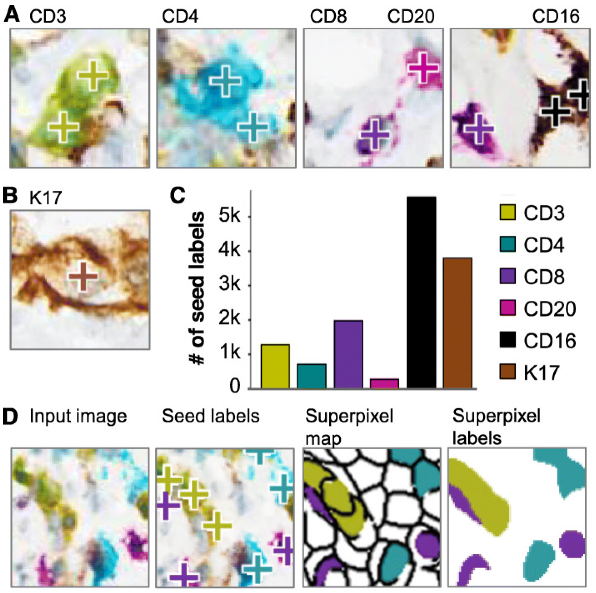 Jimaging 11 00059 g016