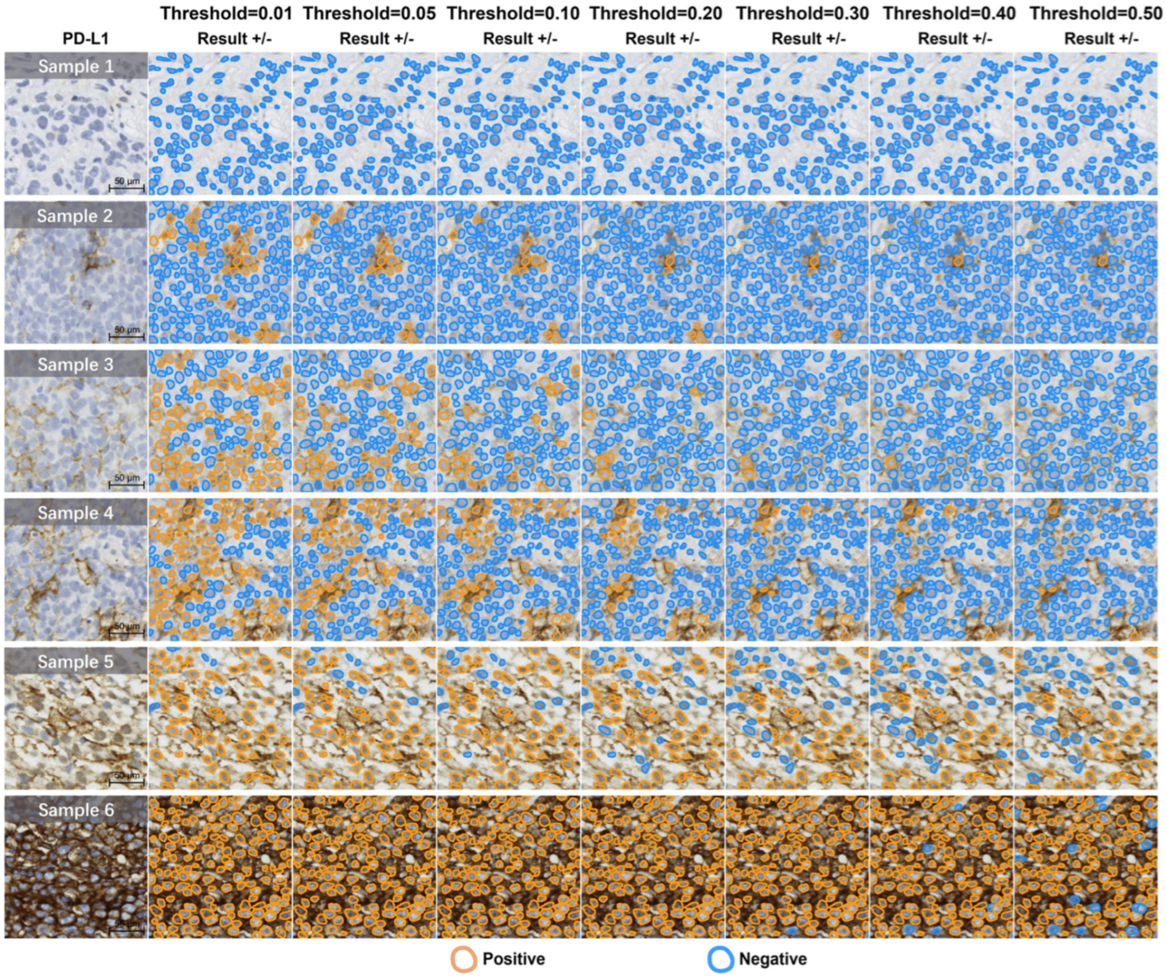 Jimaging 11 00059 g020