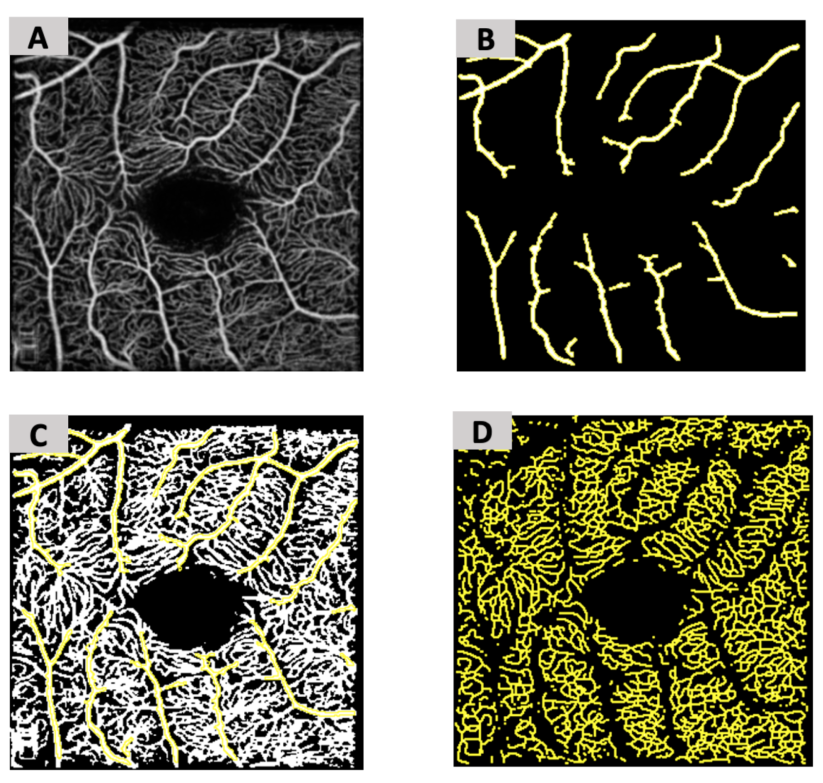 Jimaging 11 00062 g001