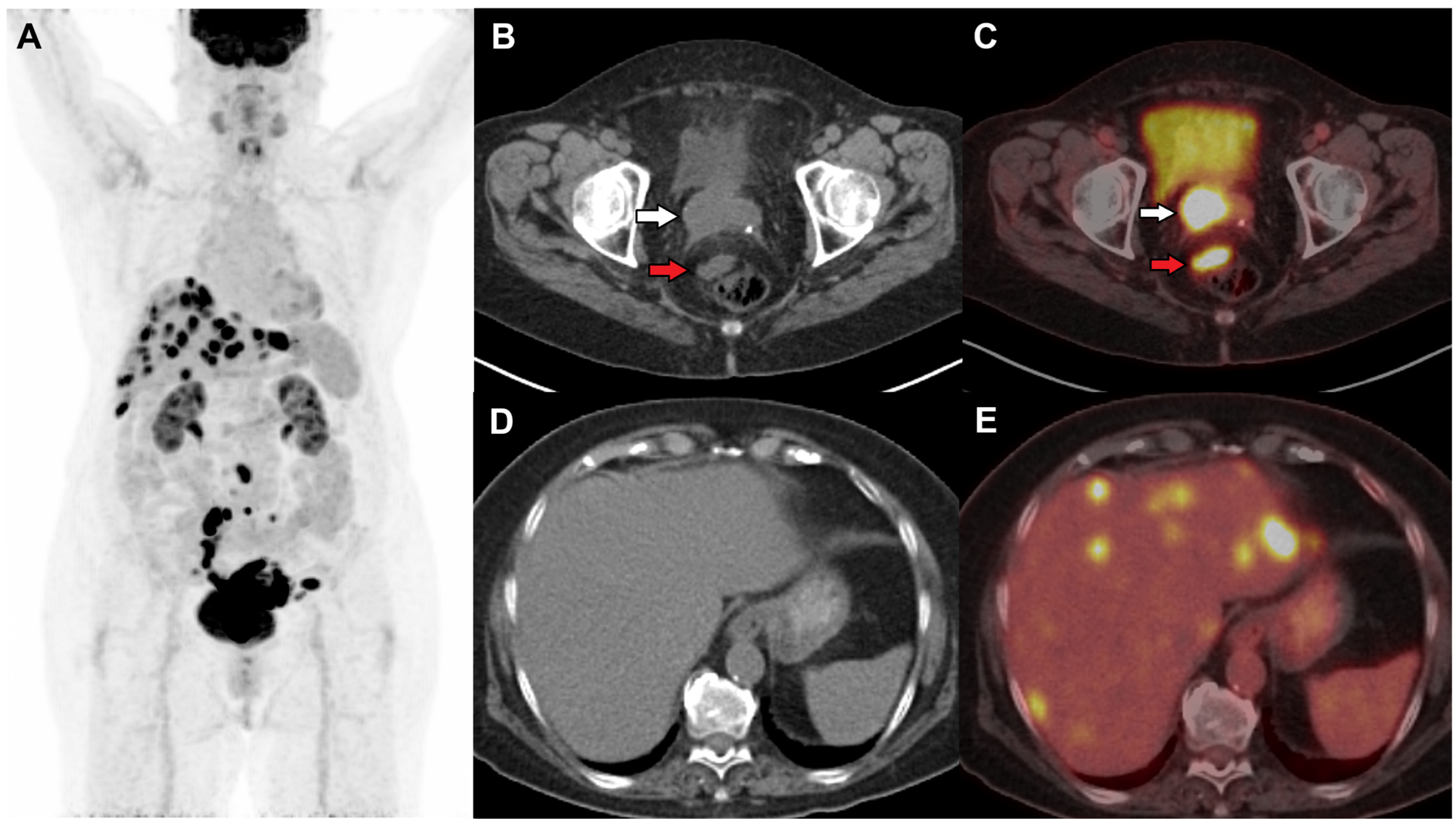 Jimaging 11 00063 g002