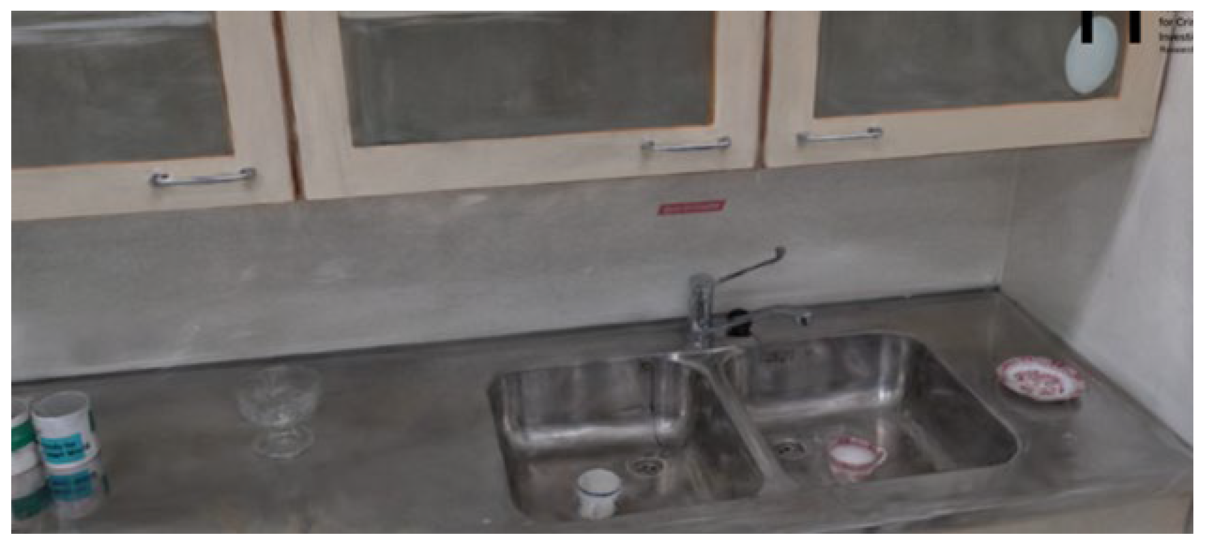 Jimaging 11 00065 g013