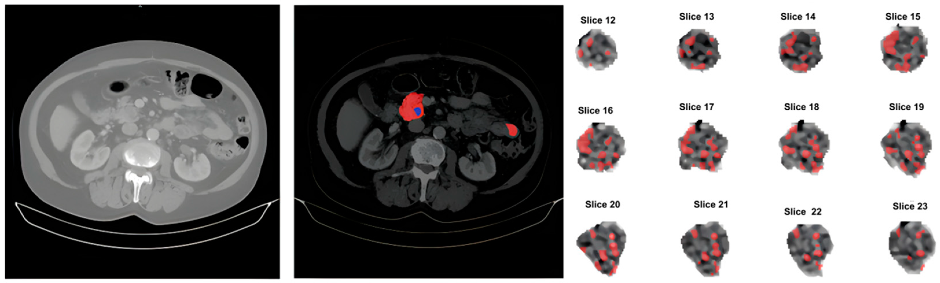 Jimaging 11 00068 g001