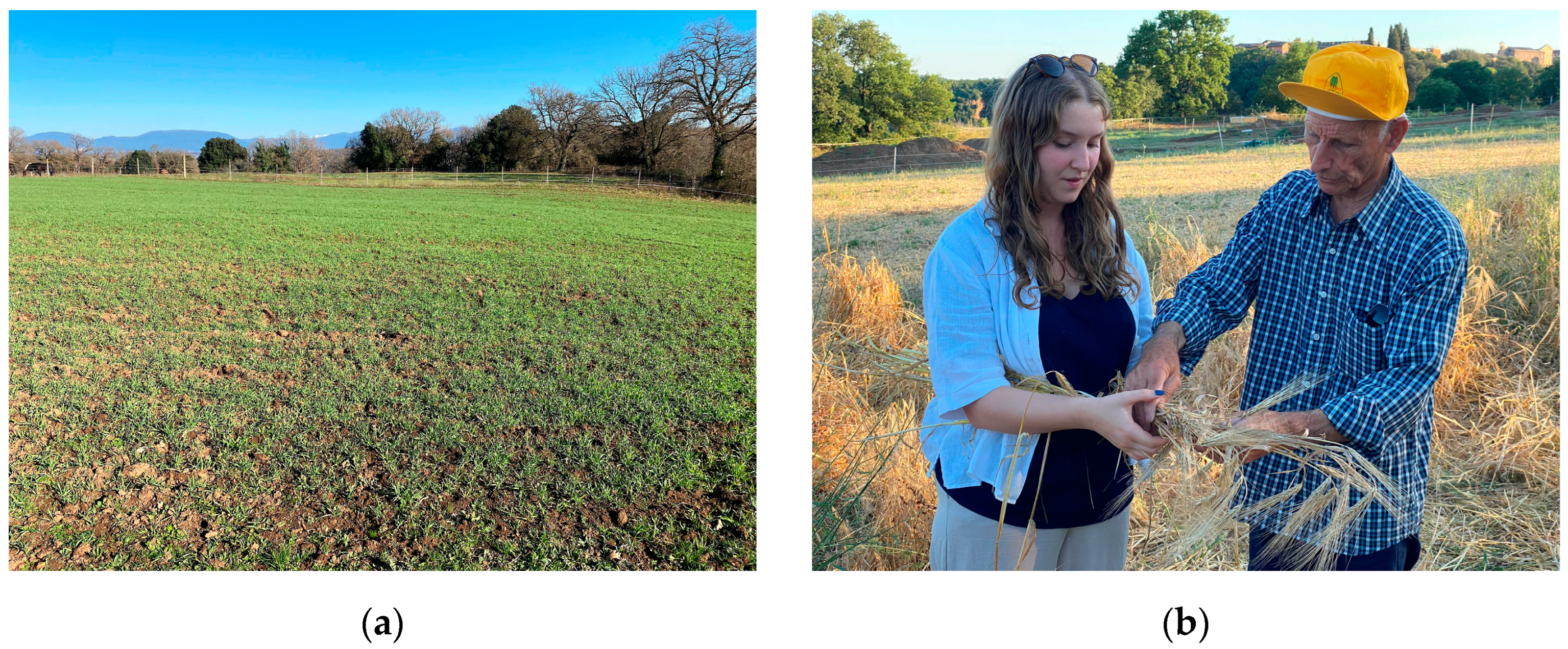 Jimaging 11 00071 g003