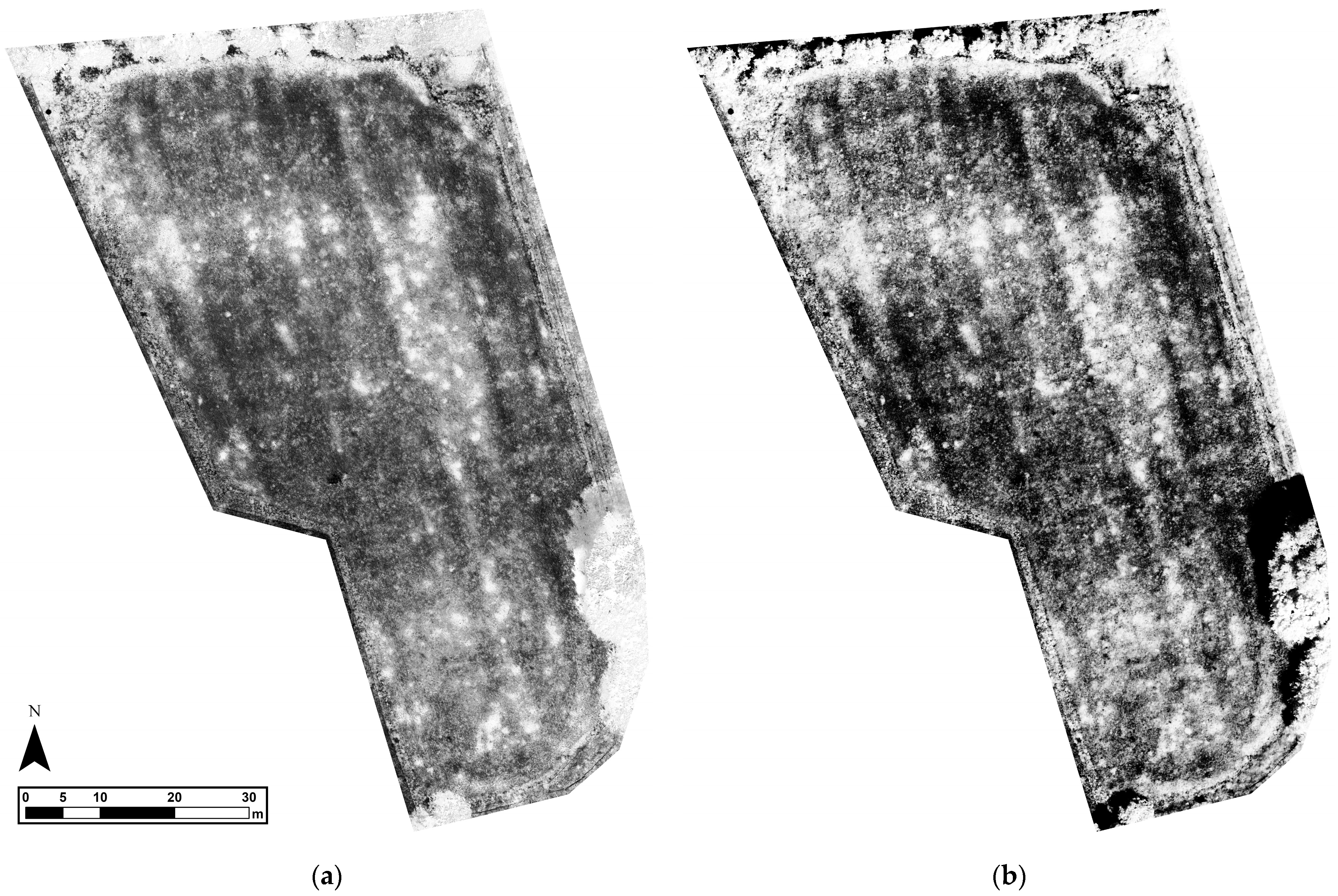 Jimaging 11 00071 g007