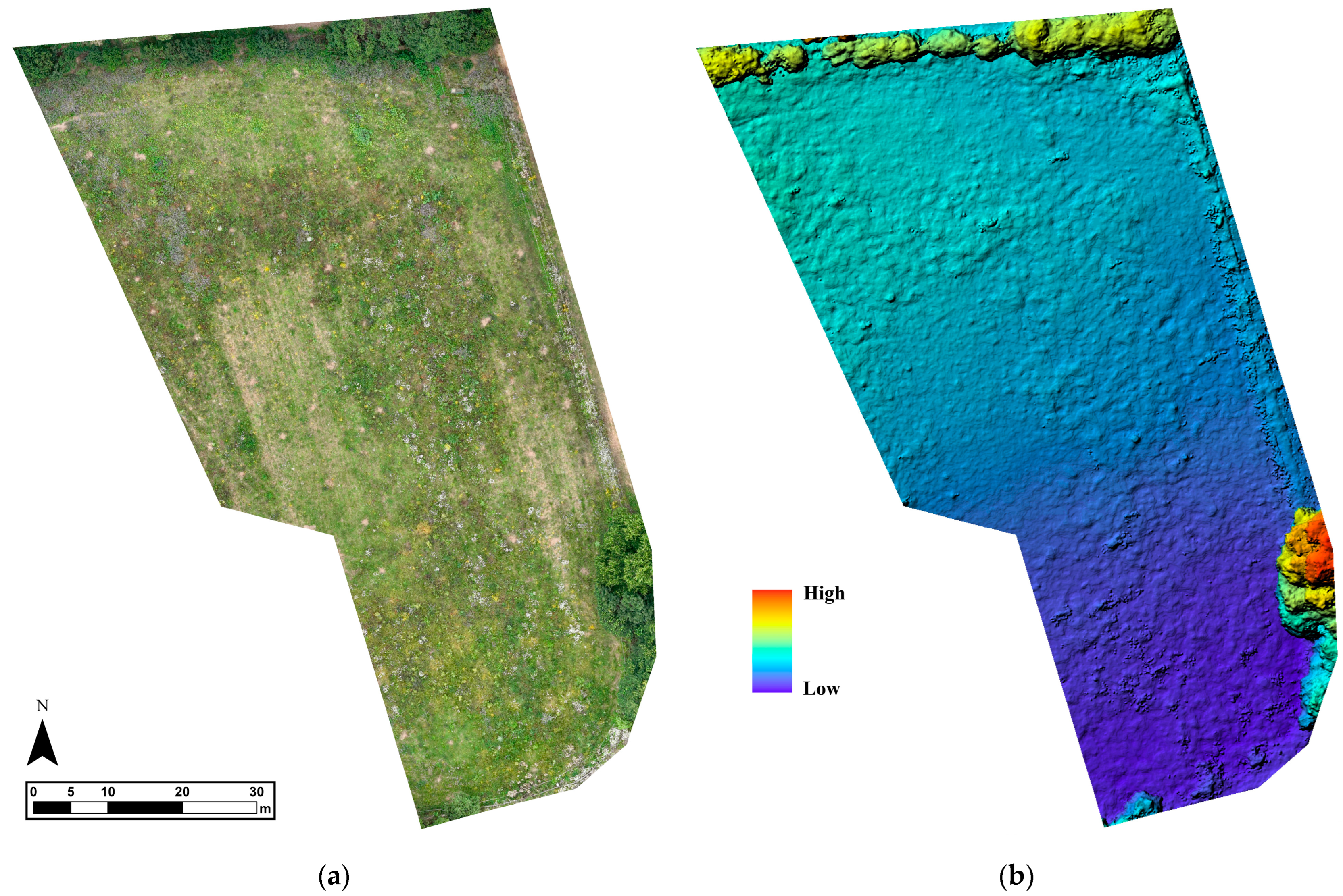 Jimaging 11 00071 g010