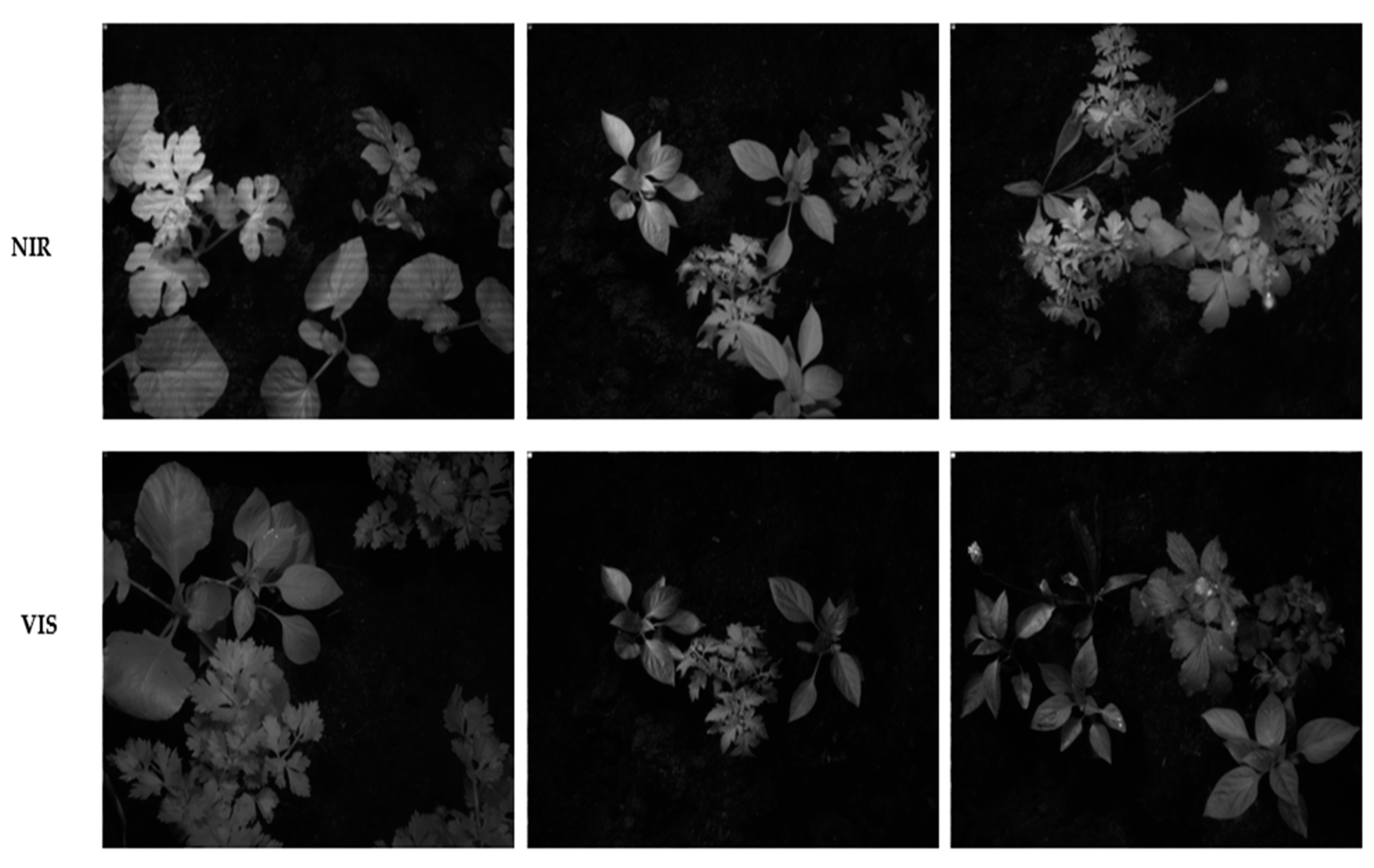 Jimaging 11 00085 g002