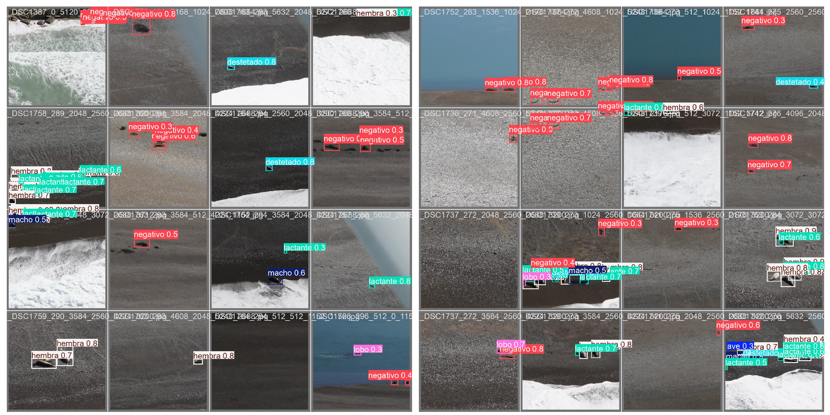 Jimaging 11 00094 g0a3