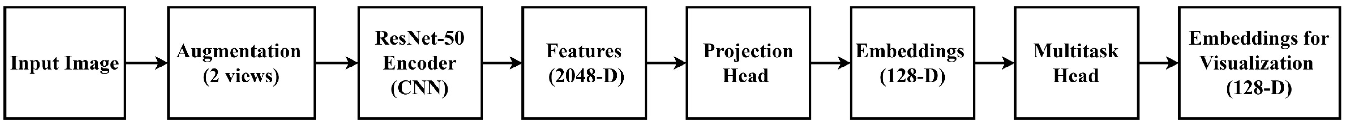 Jimaging 11 00097 g005