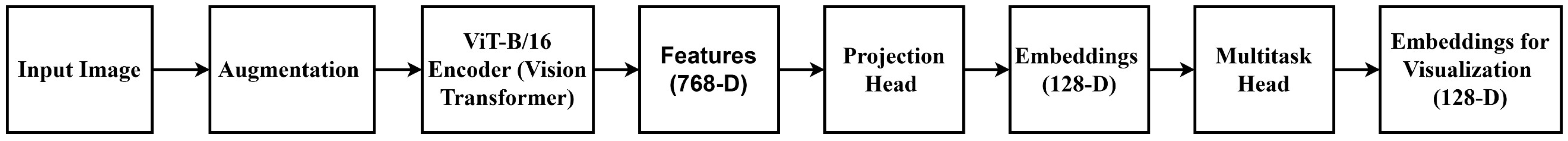 Jimaging 11 00097 g006