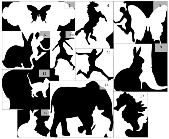 Jimaging 11 00111 g0a1