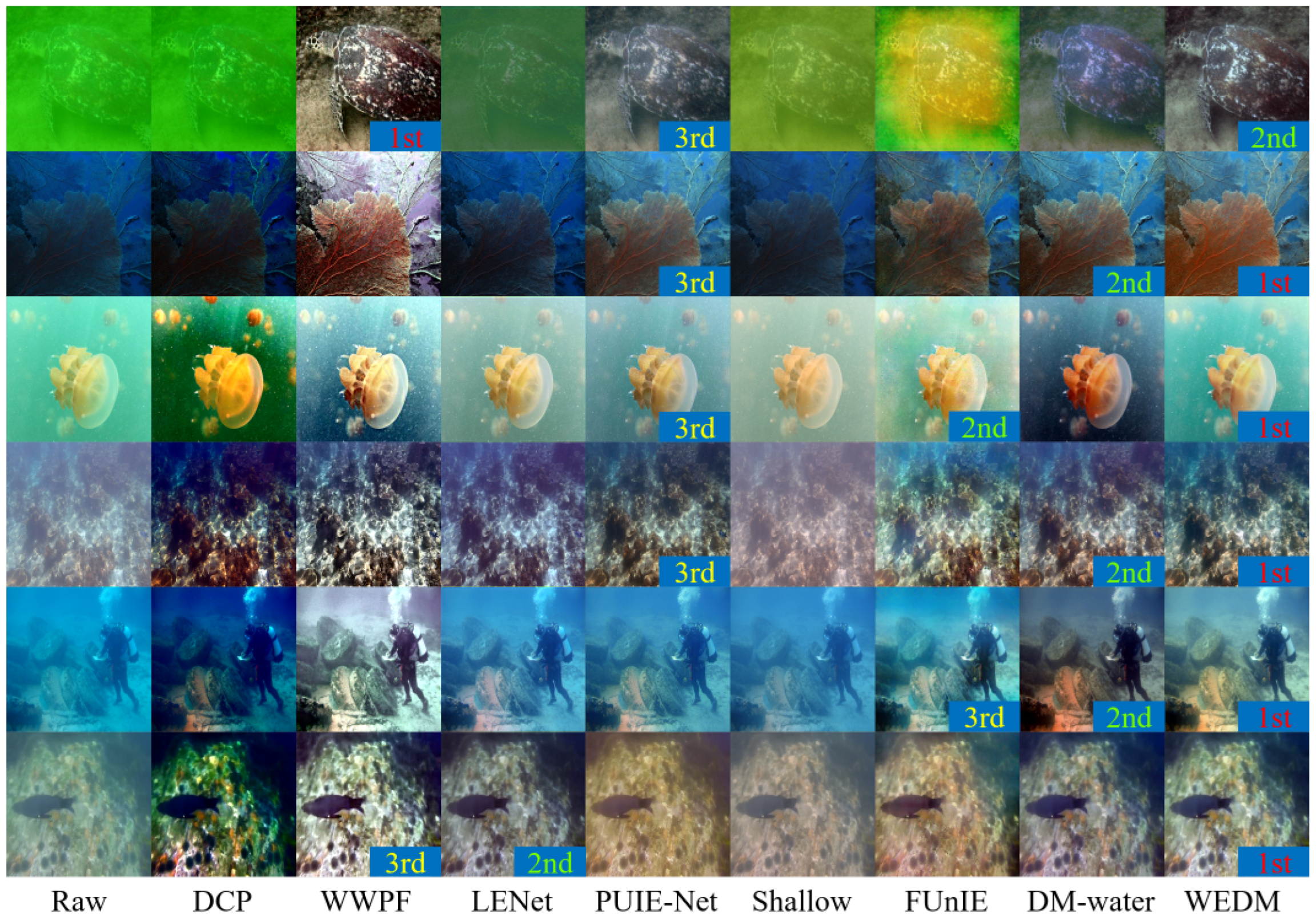 Jimaging 11 00114 g010 Jimaging 11 00114 g010