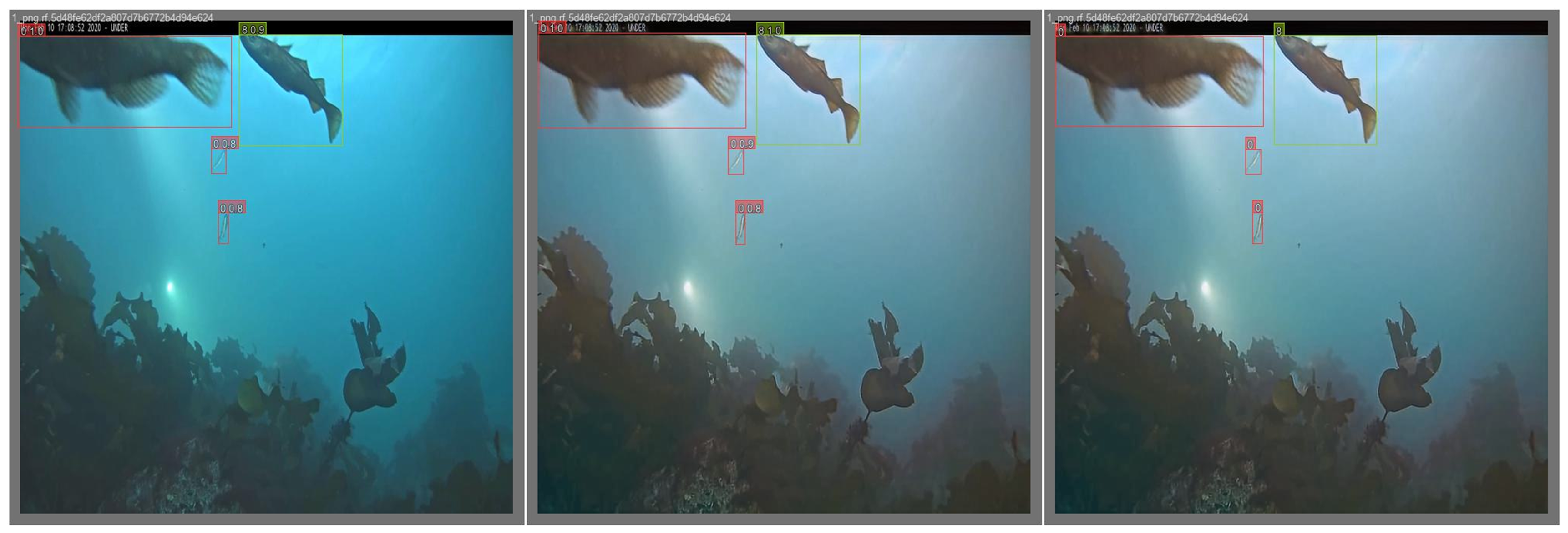 Jimaging 11 00114 g012 Jimaging 11 00114 g012