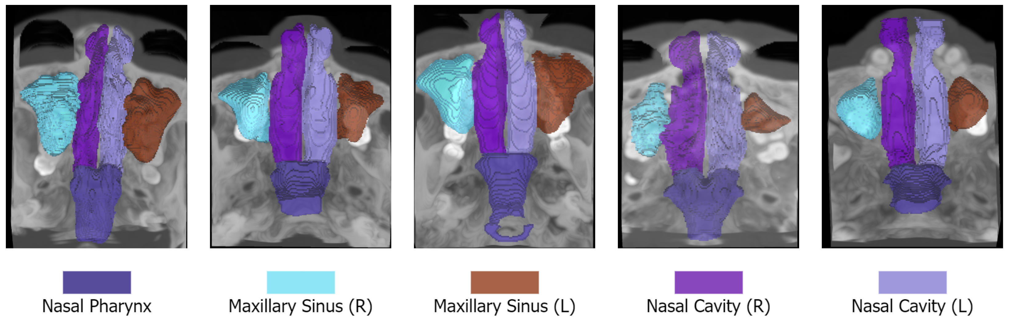 Jimaging 11 00148 g001