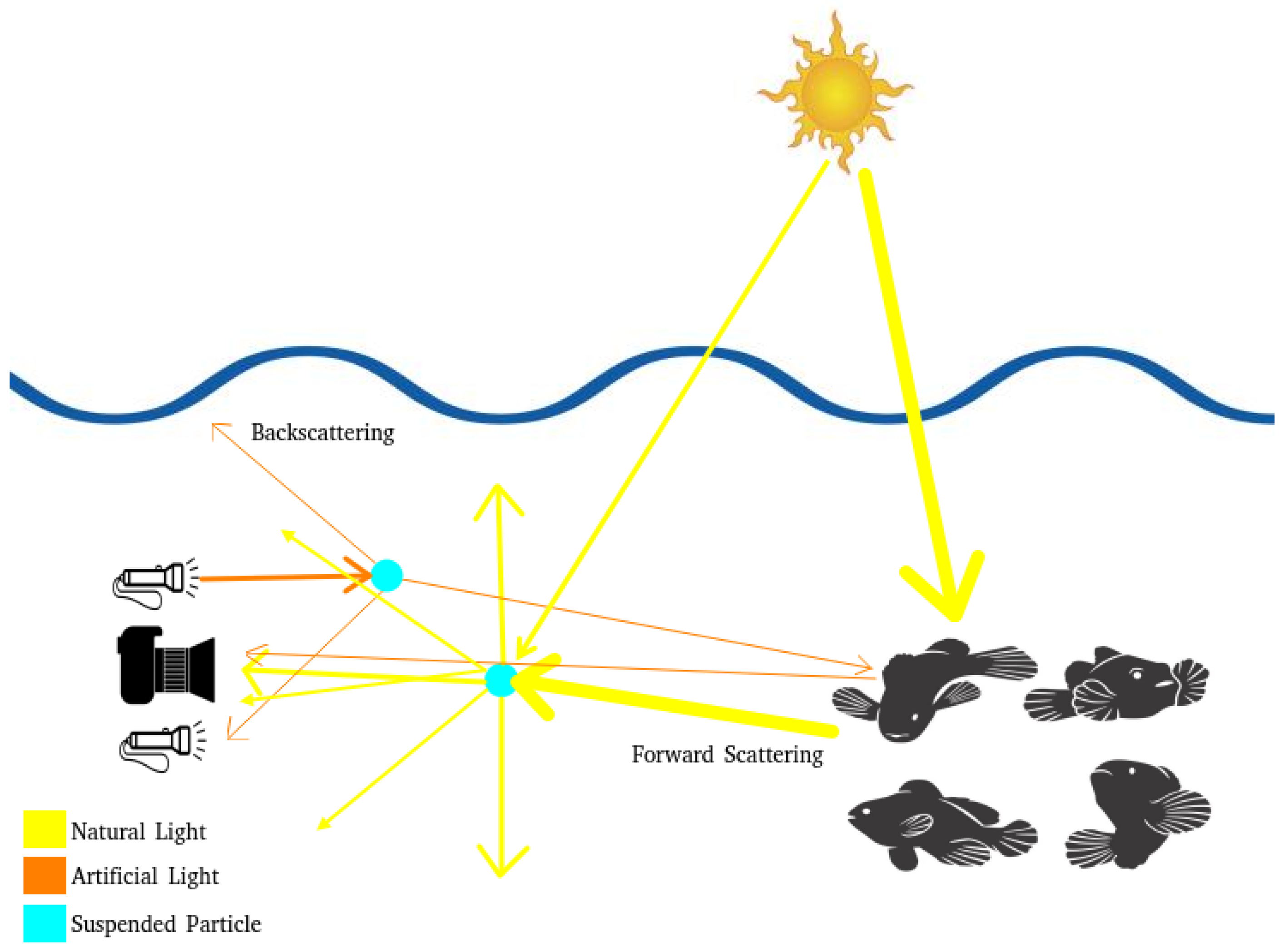 Jimaging 11 00161 g002