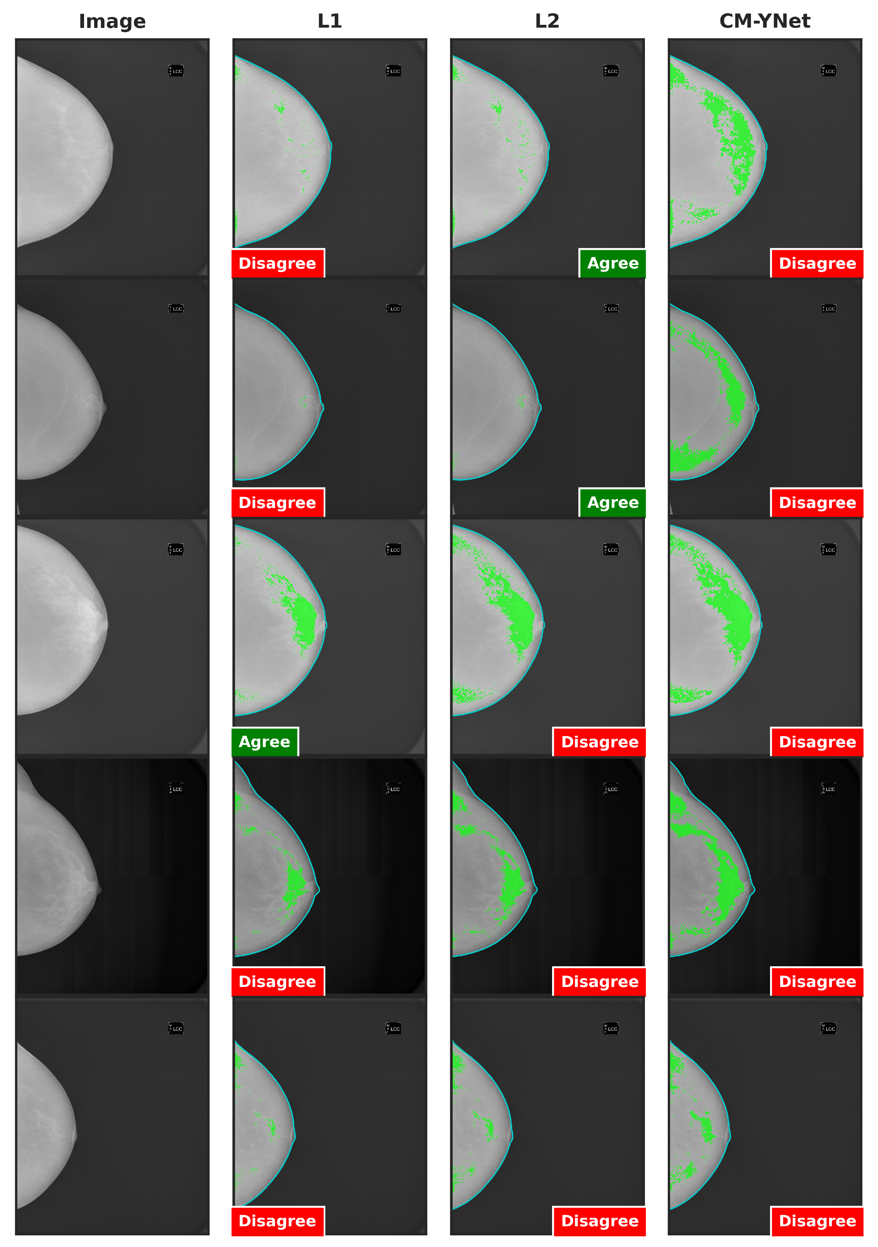 Jimaging 11 00170 g009