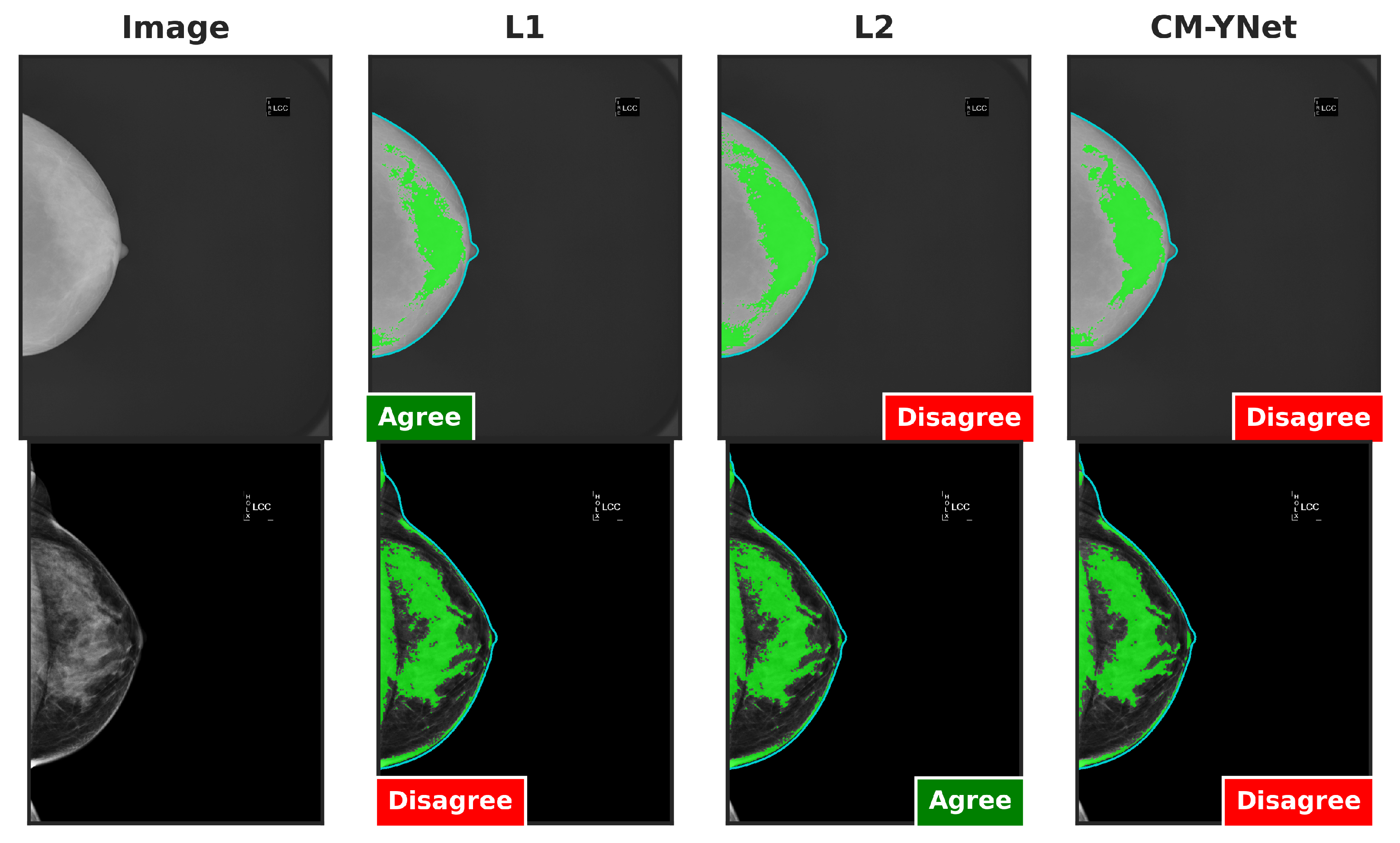 Jimaging 11 00170 g010