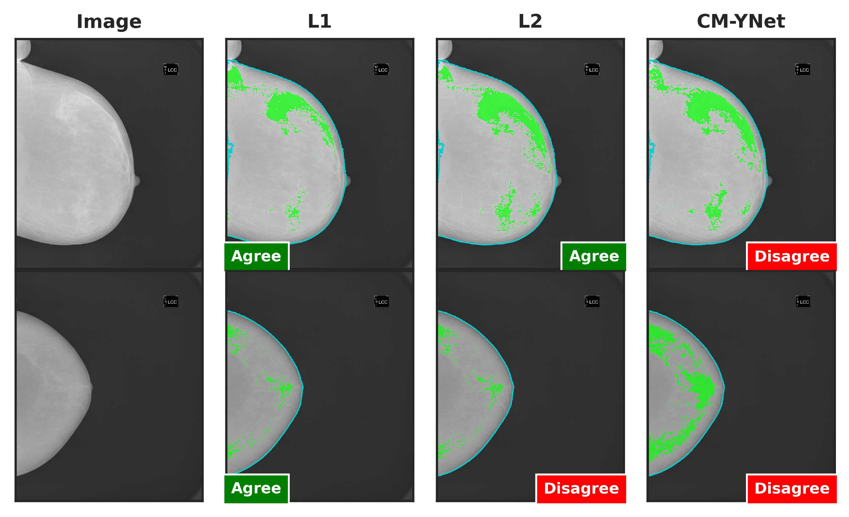 Jimaging 11 00170 g016