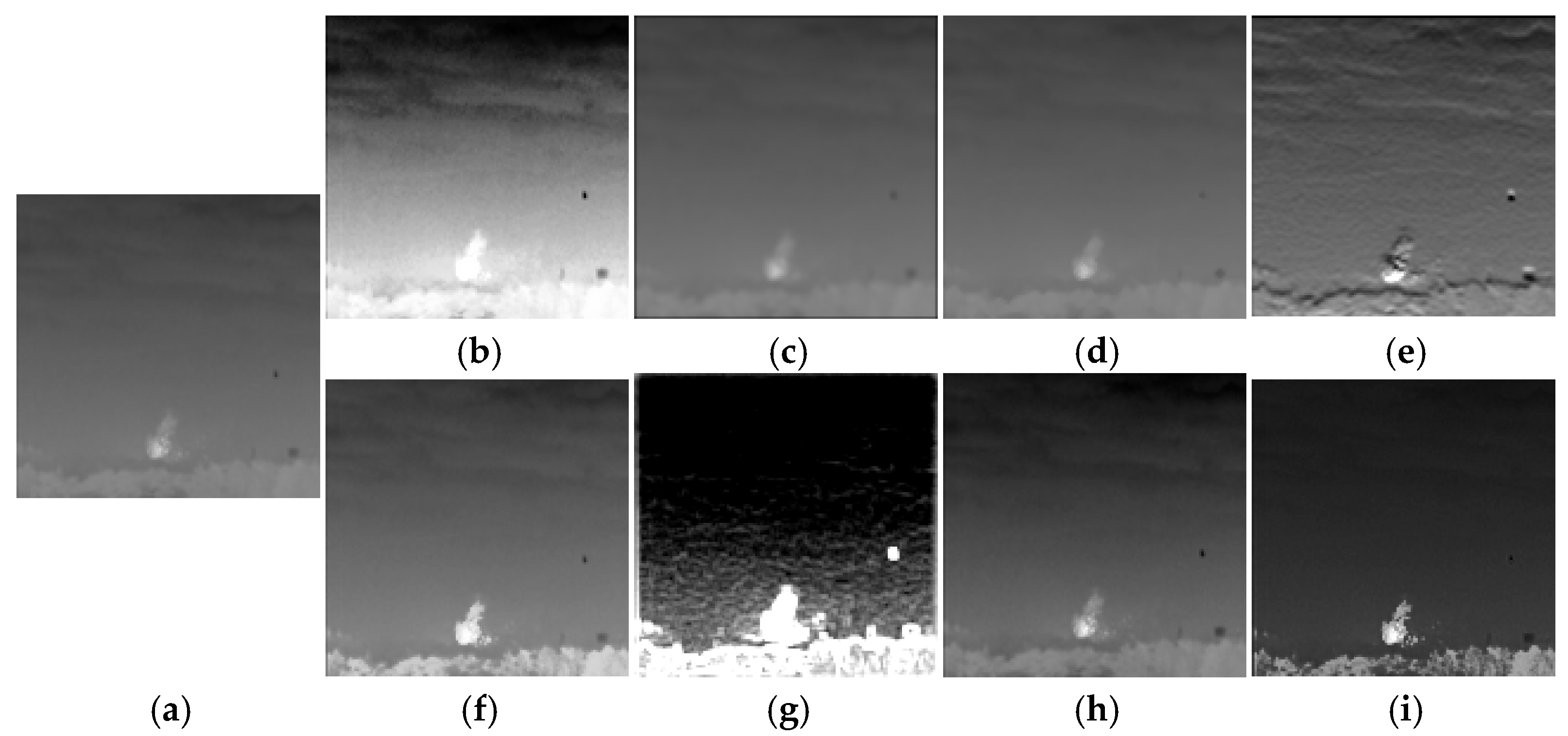 Jimaging 11 00171 g004