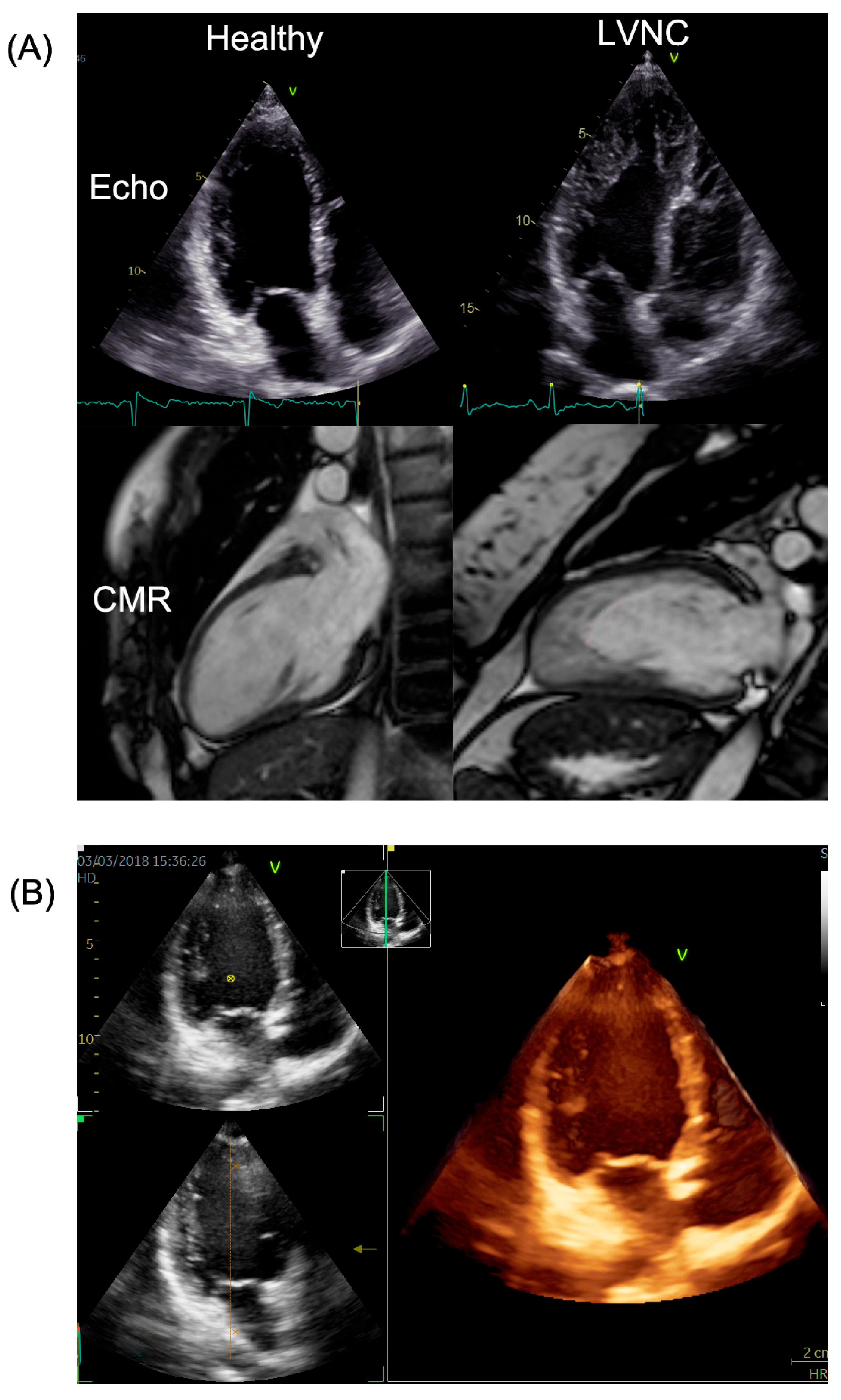 Jimaging 11 00185 g001