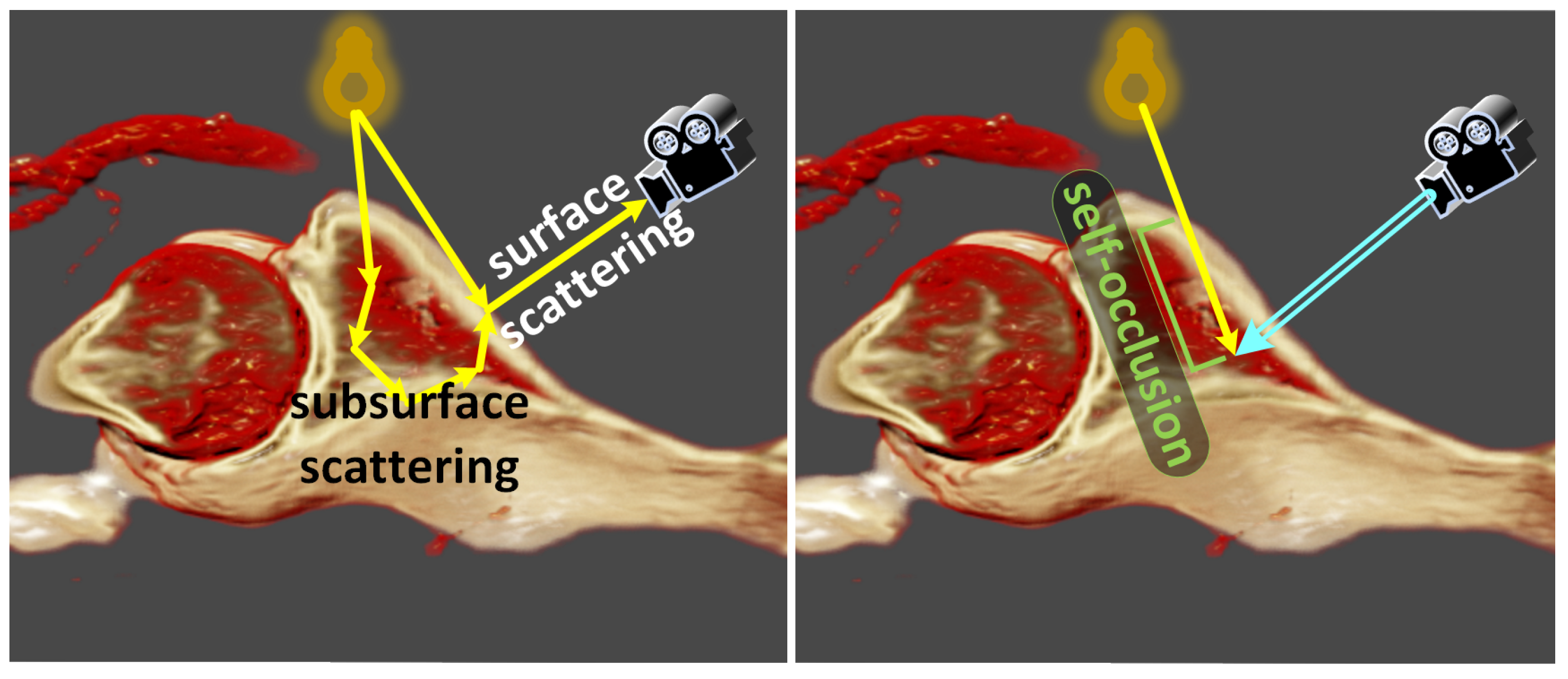 Jimaging 11 00193 g002