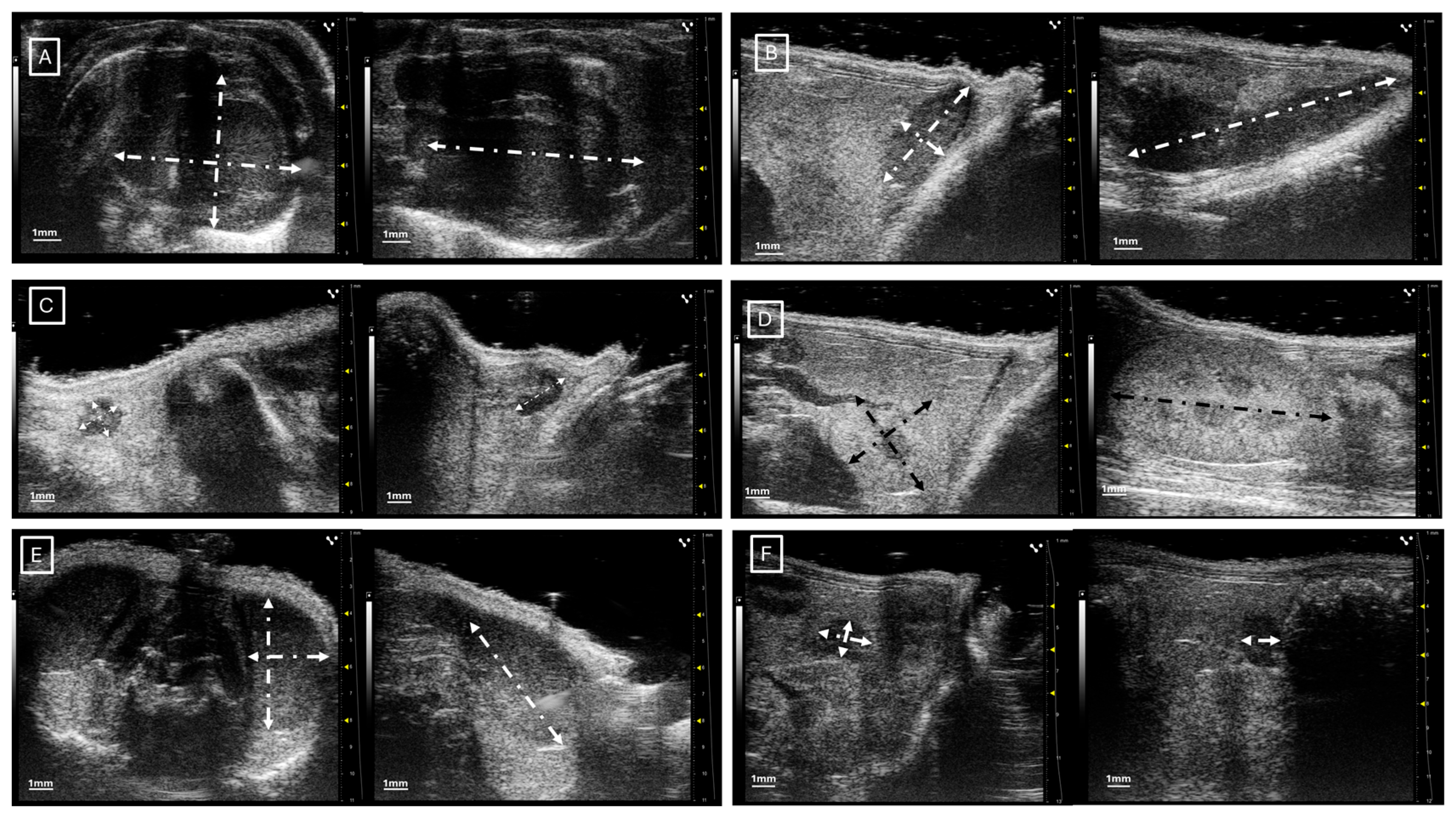 Jimaging 11 00200 g001