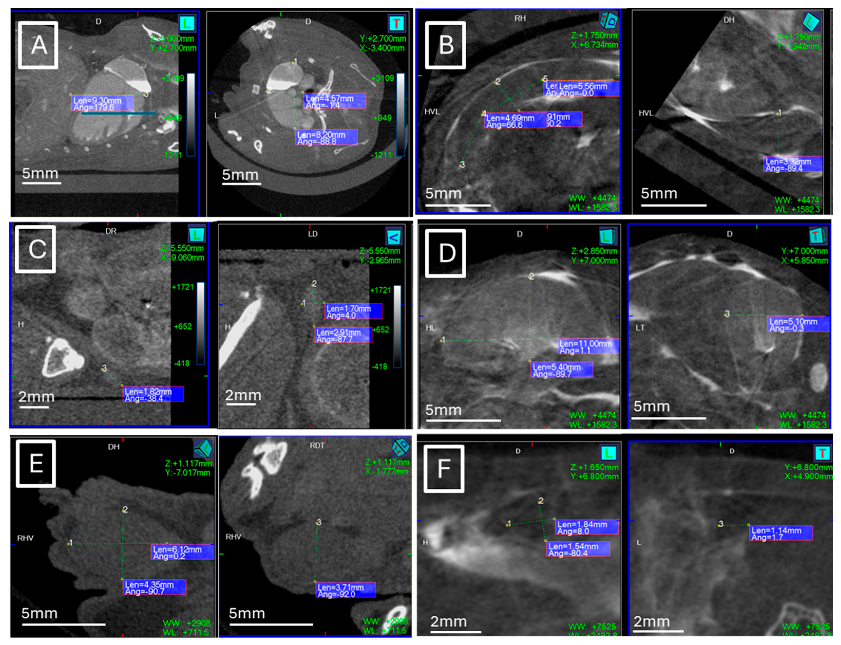 Jimaging 11 00200 g002