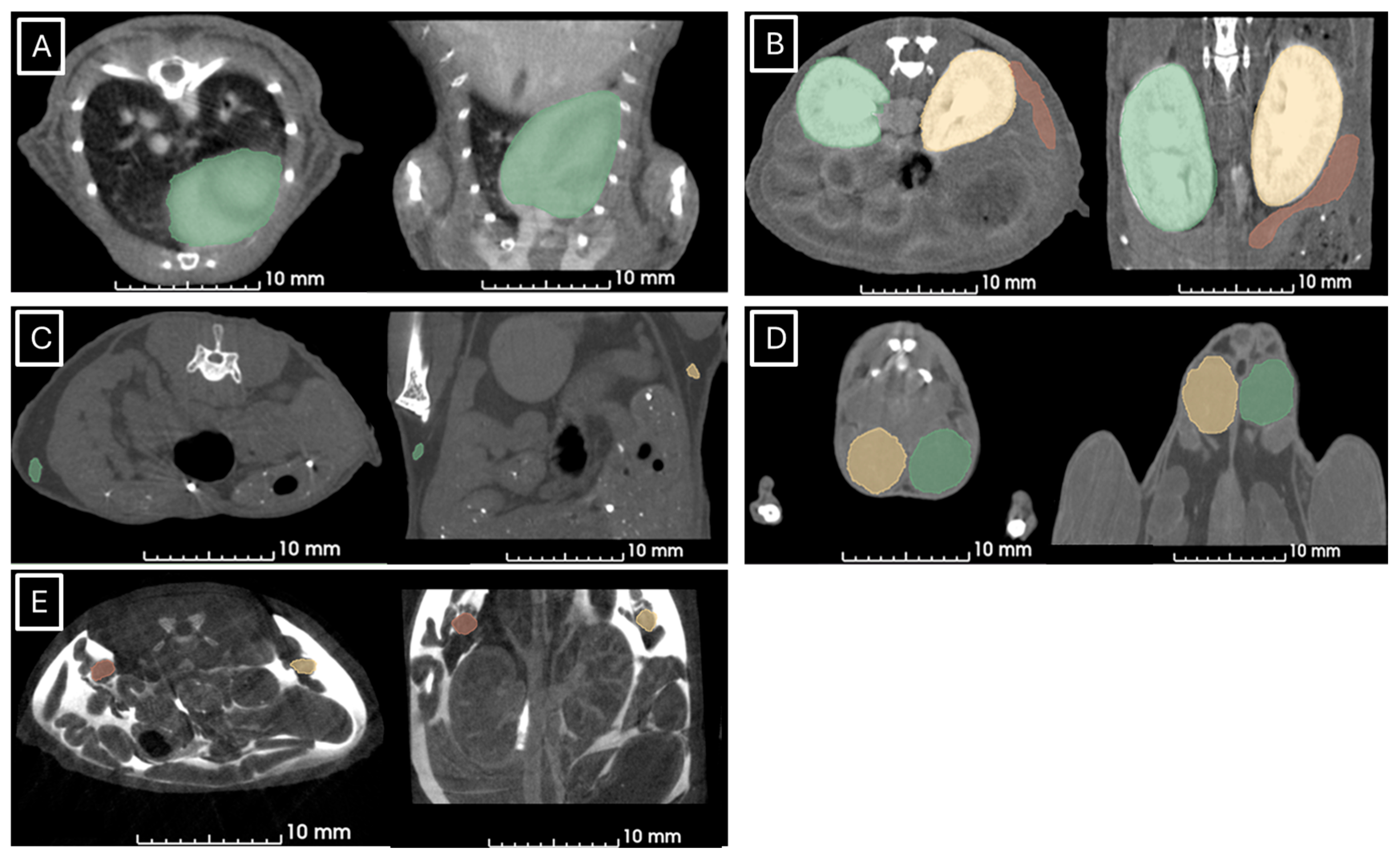 Jimaging 11 00200 g003