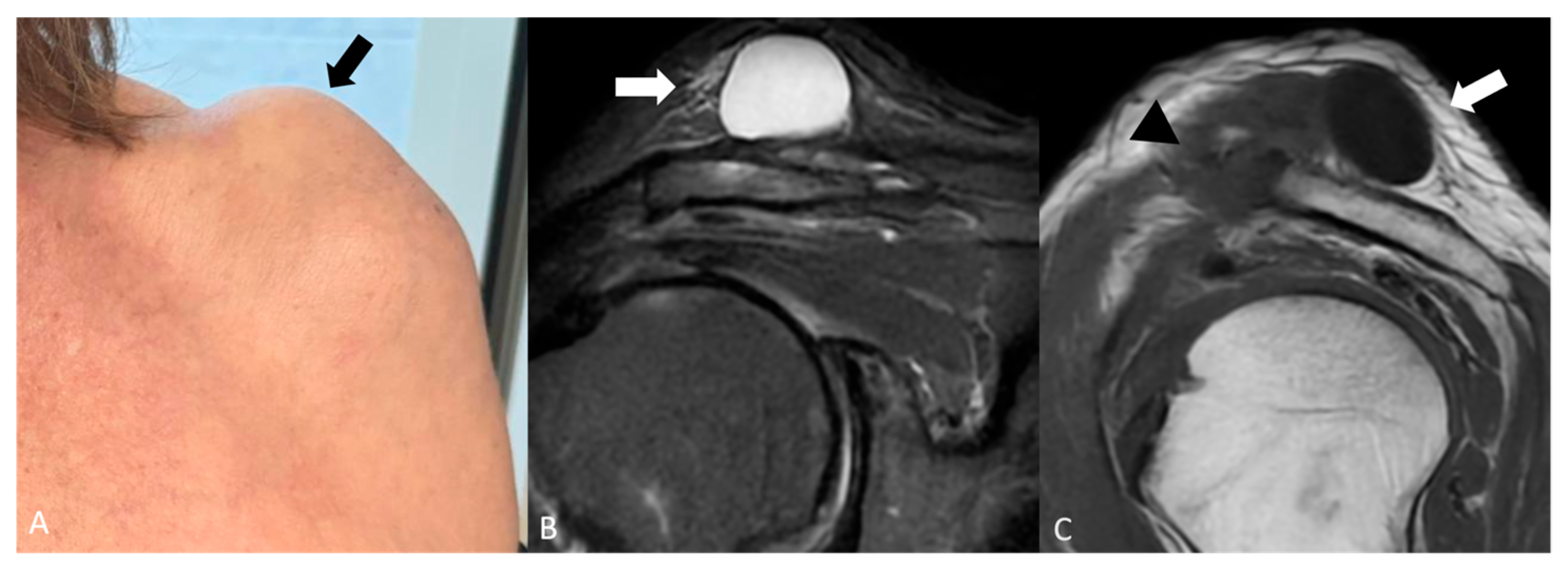Jimaging 11 00217 g001