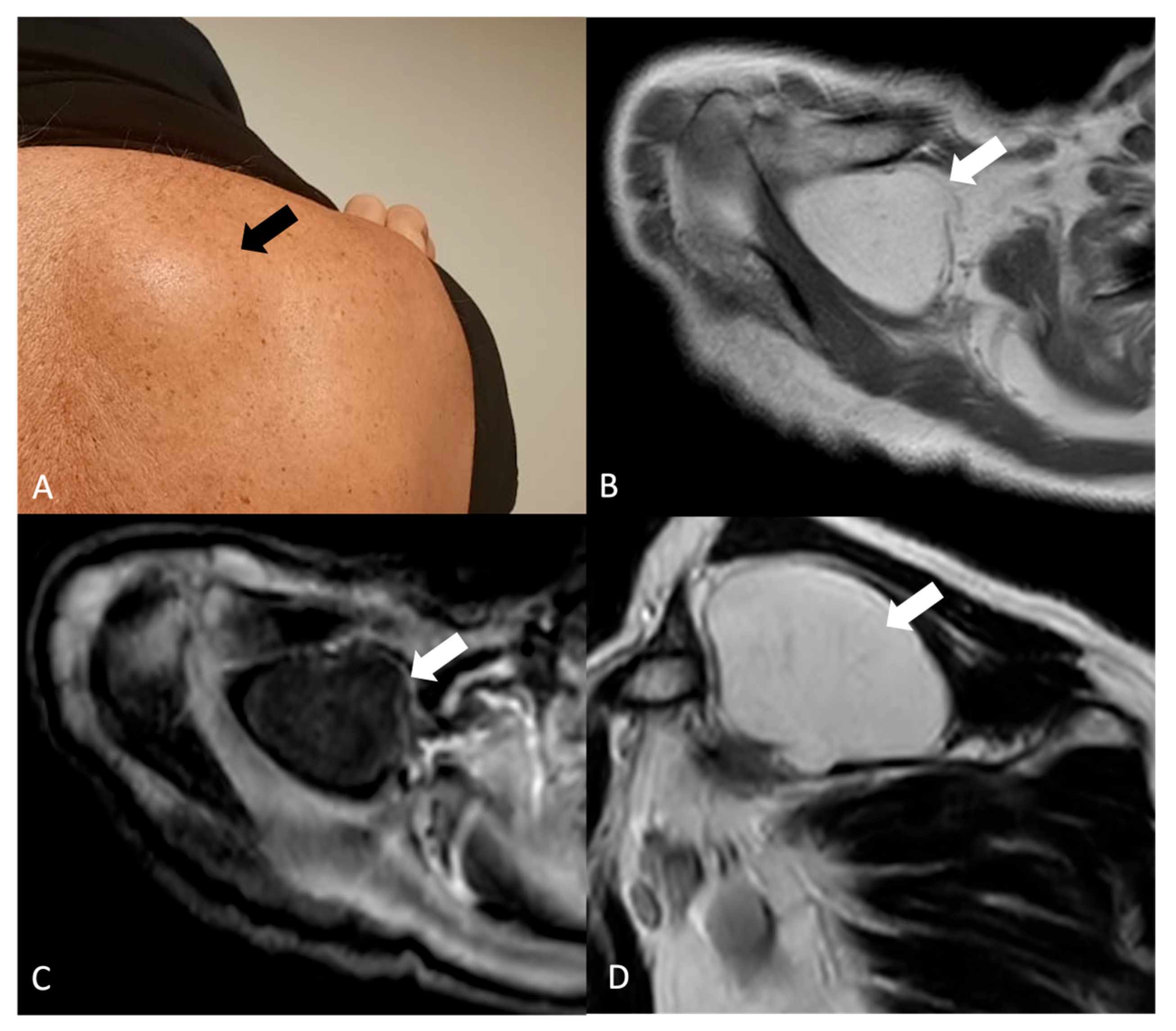 Jimaging 11 00217 g004