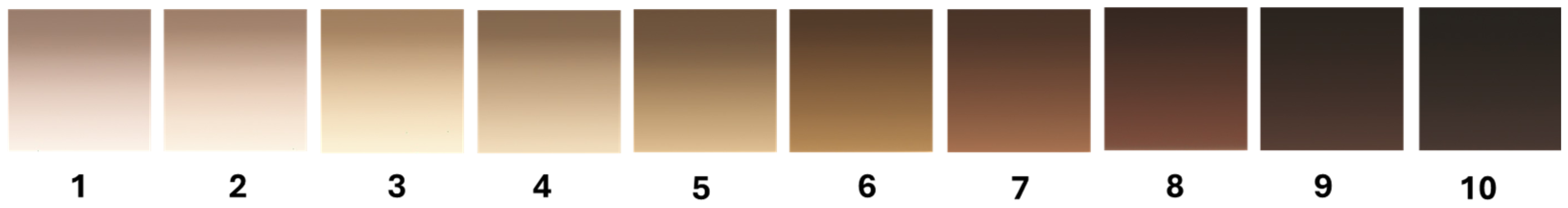 Jimaging 11 00235 g001